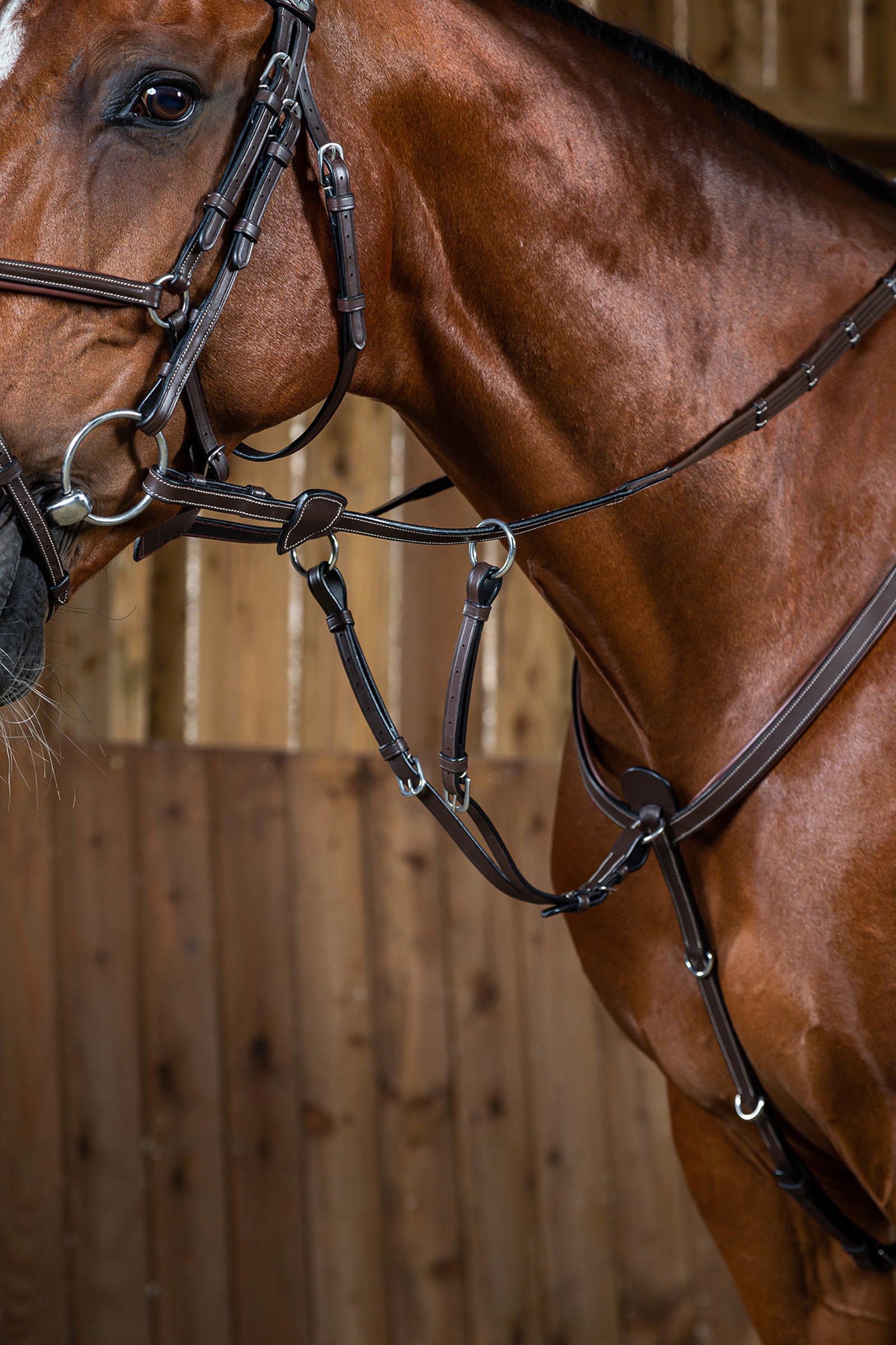 Brown Dy'on Working Running Martingale Attachment 