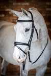 LeMieux Competiton Flash Bridle