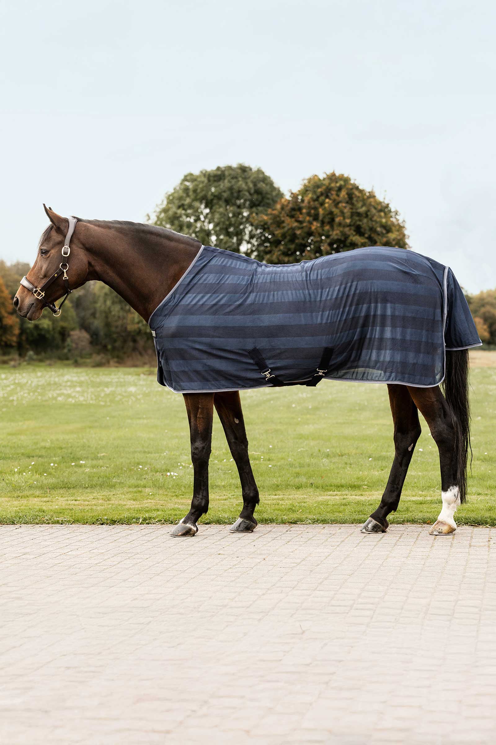 Night Blue Waldhausen Economic Fly Rug