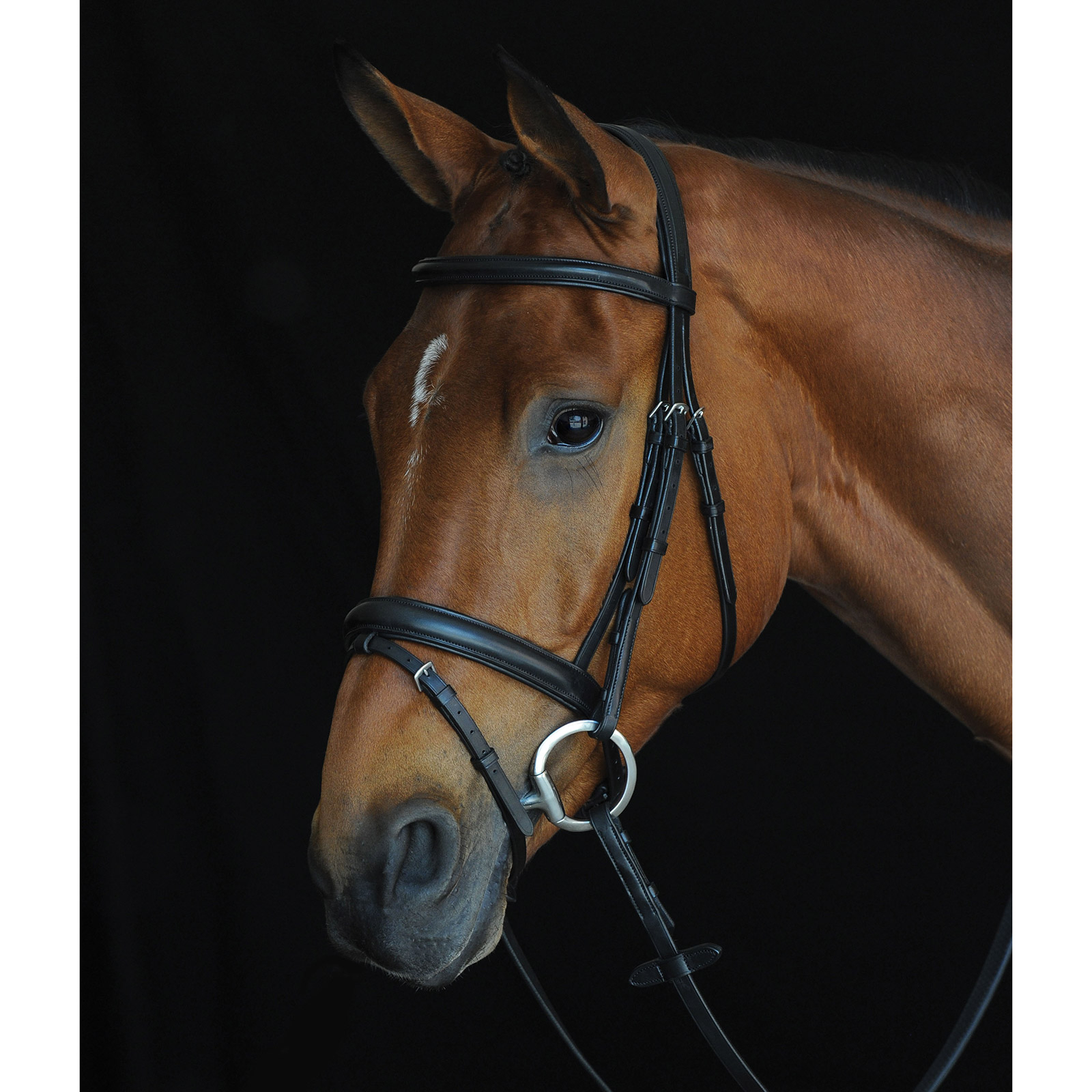 Collegiate Comfort Crown Padded Raised Flash Bridle