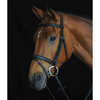 Collegiate Comfort Crown Padded Raised Flash Bridle