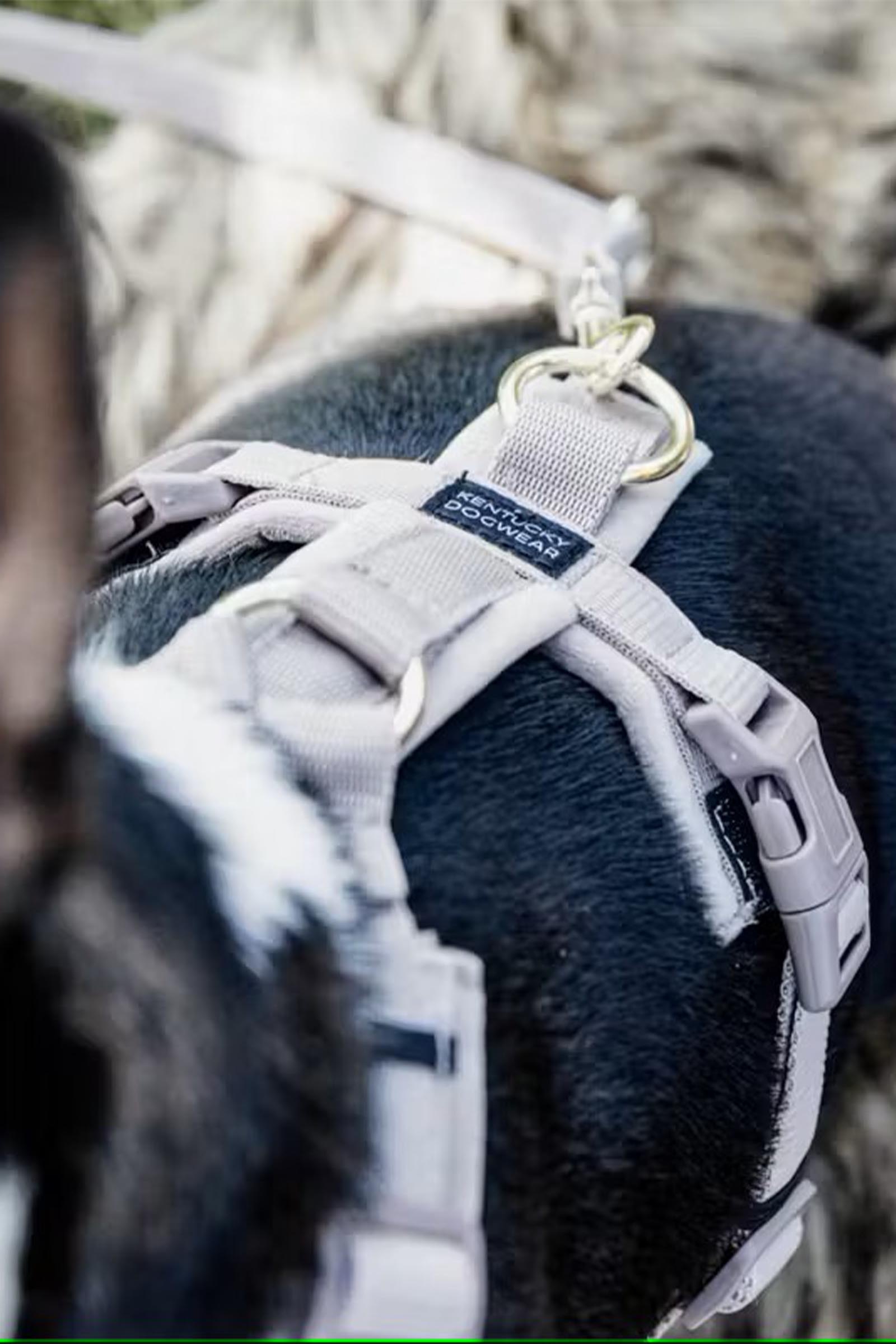 Kentucky Dogwear Active Velvet Dog Harness