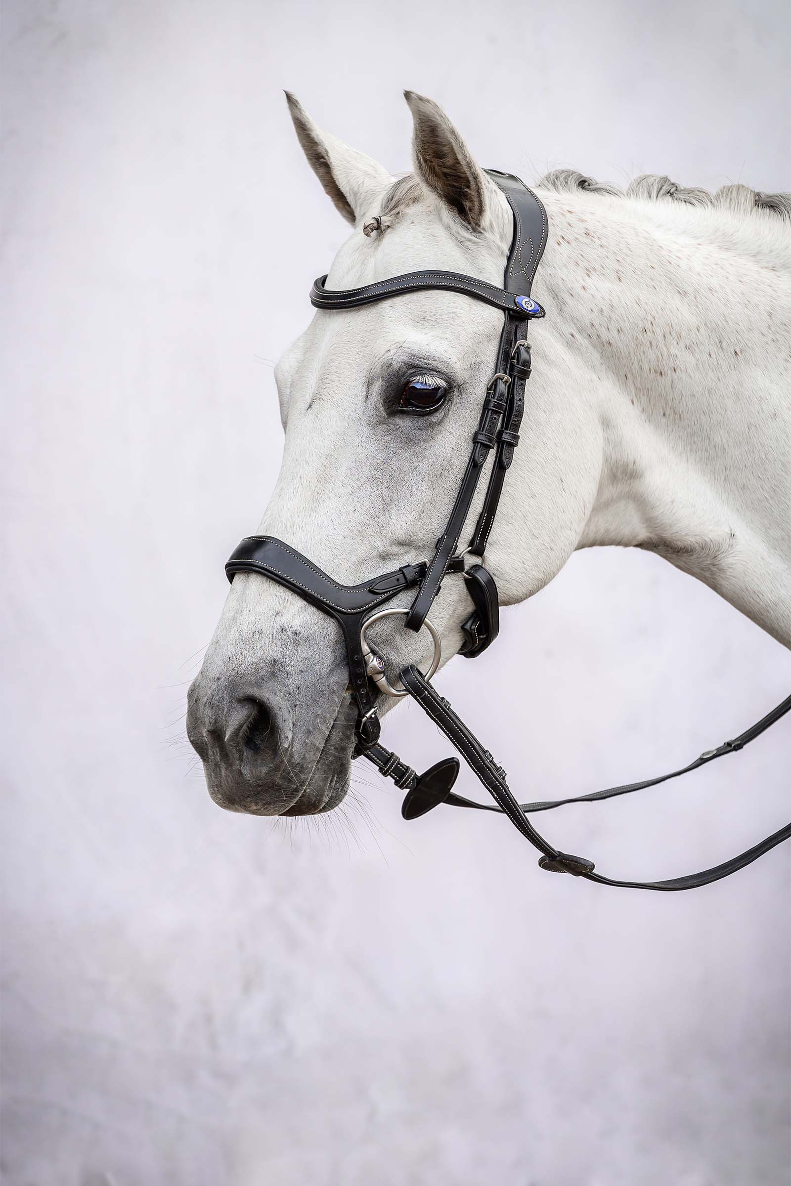 PS of Sweden Pioneer Bridle