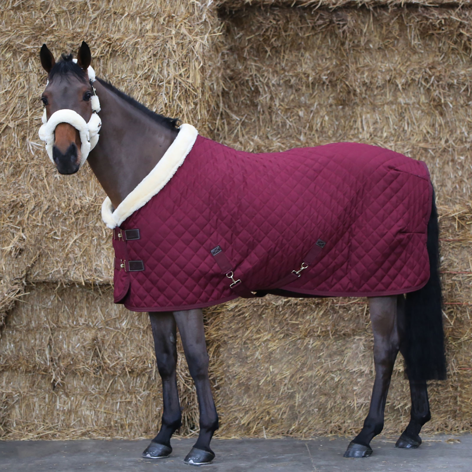 Dark Red Kentucky Horsewear Show Rug, 160g