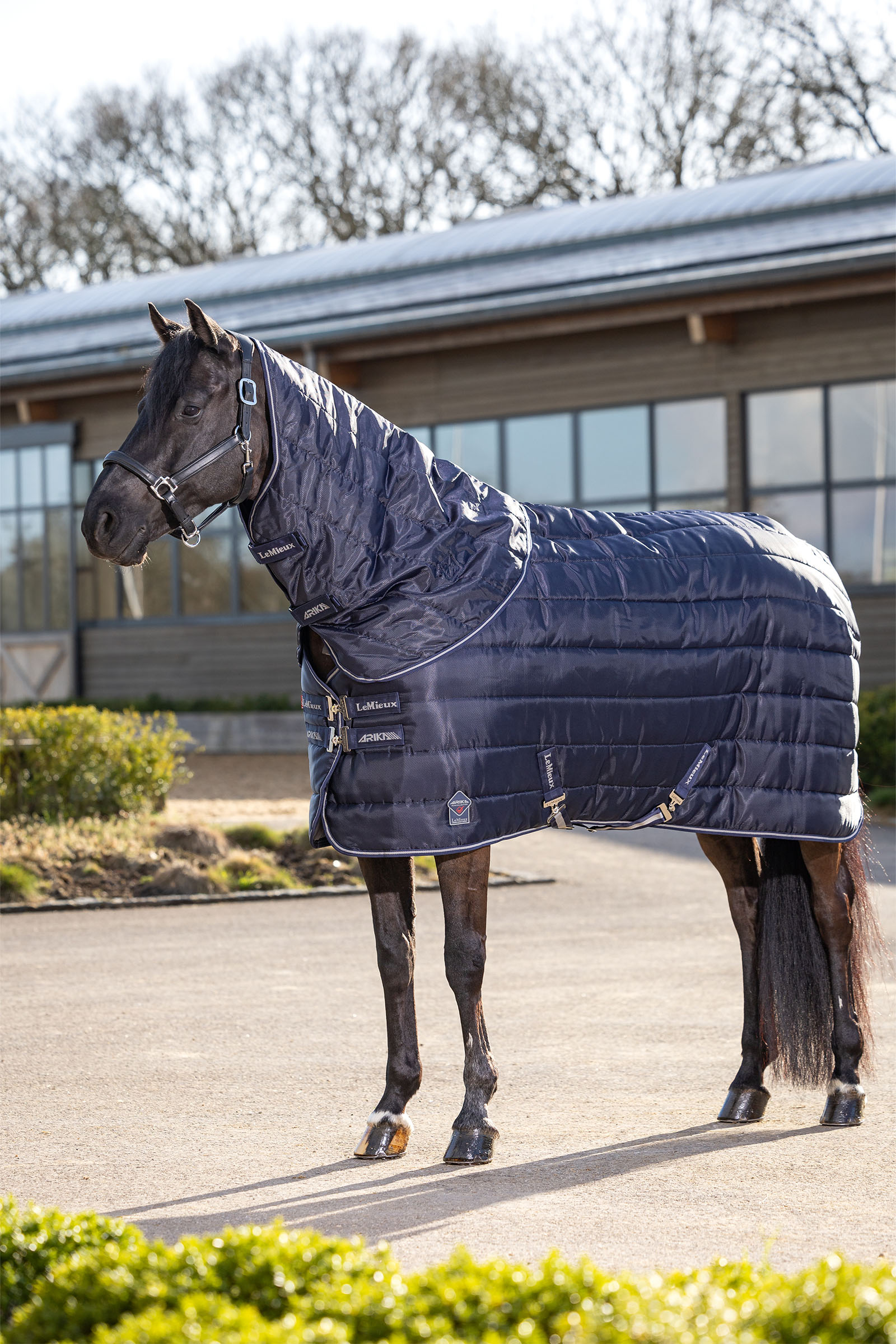 LeMieux Arika Stable-Tek Stable Rug, 100 g