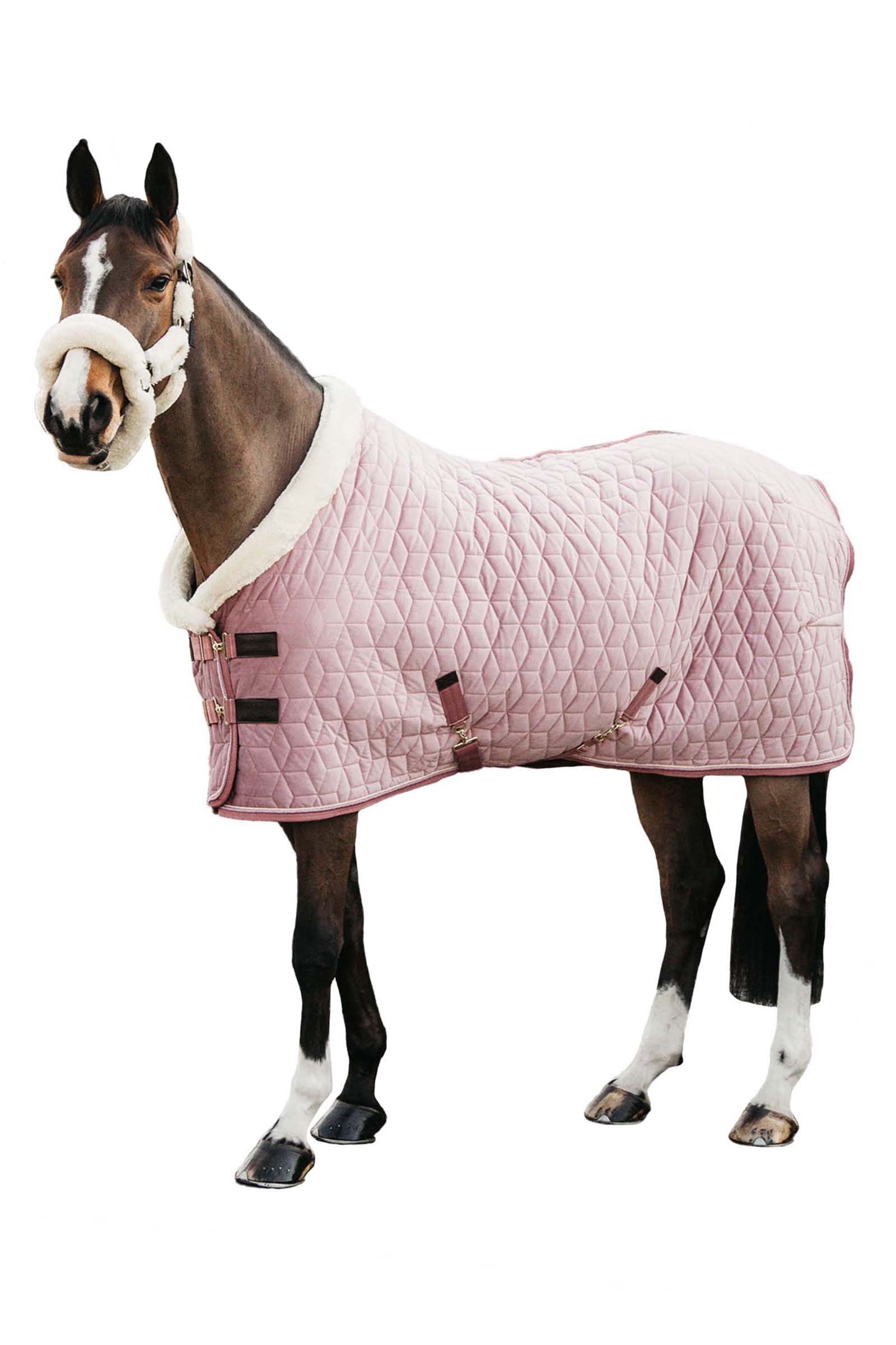 Kentucky Horsewear Velvet Show Rug, 160g