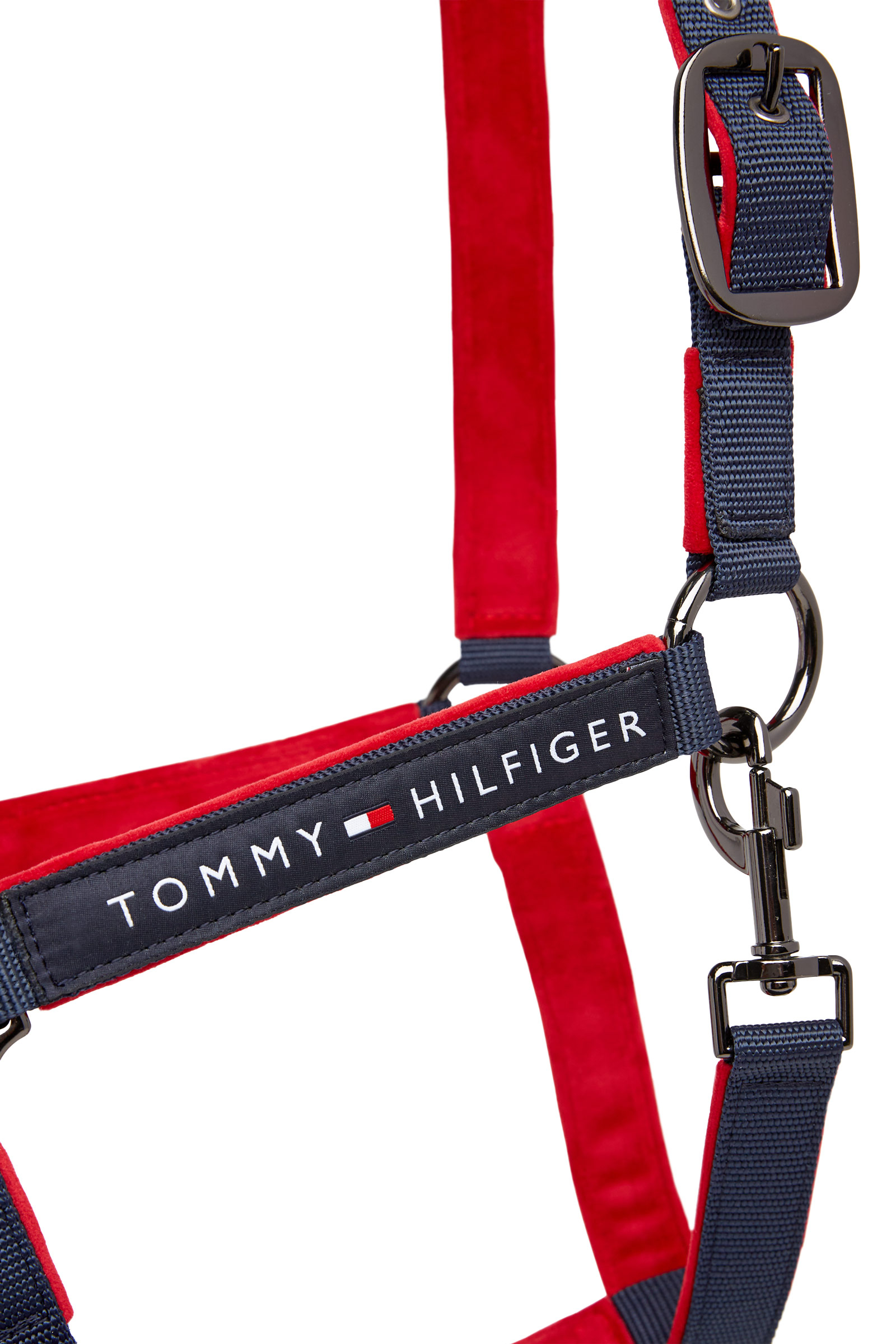 Tommy Hilfiger Equestrian GLOBAL Halter