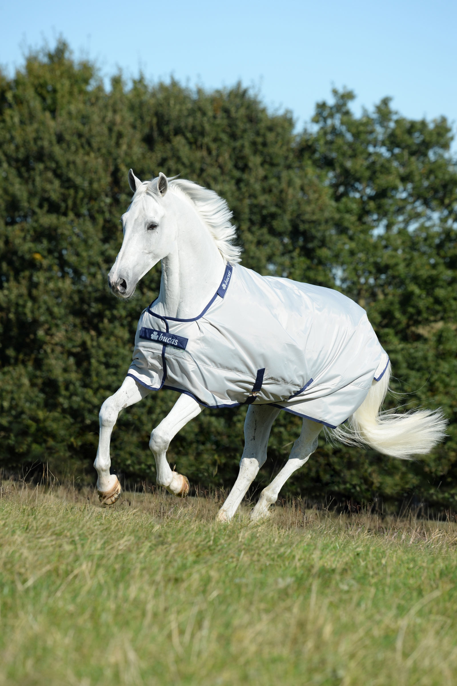 Bucas Sun Shower Turnout Rug, 0g