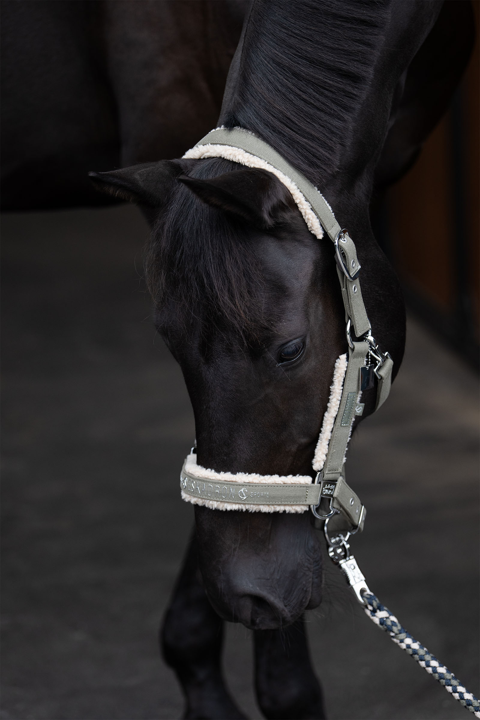 Eskadron Classic Sports SS25 Denim Double Pin Teddyfleece Headcollar