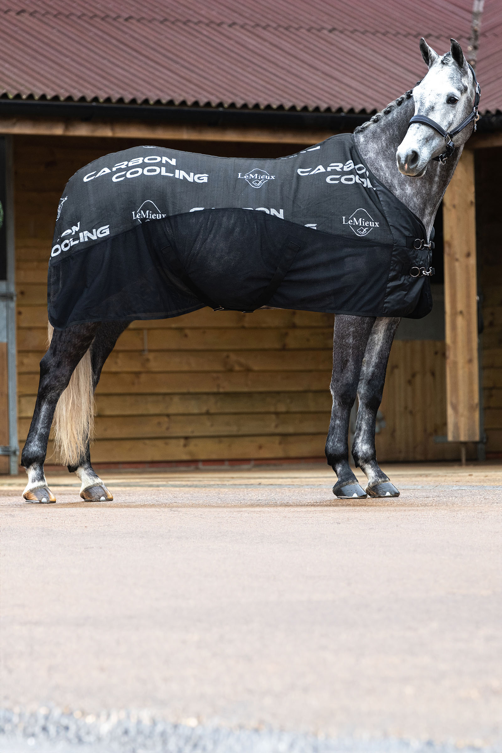 LeMieux Carbon Cooler Rug