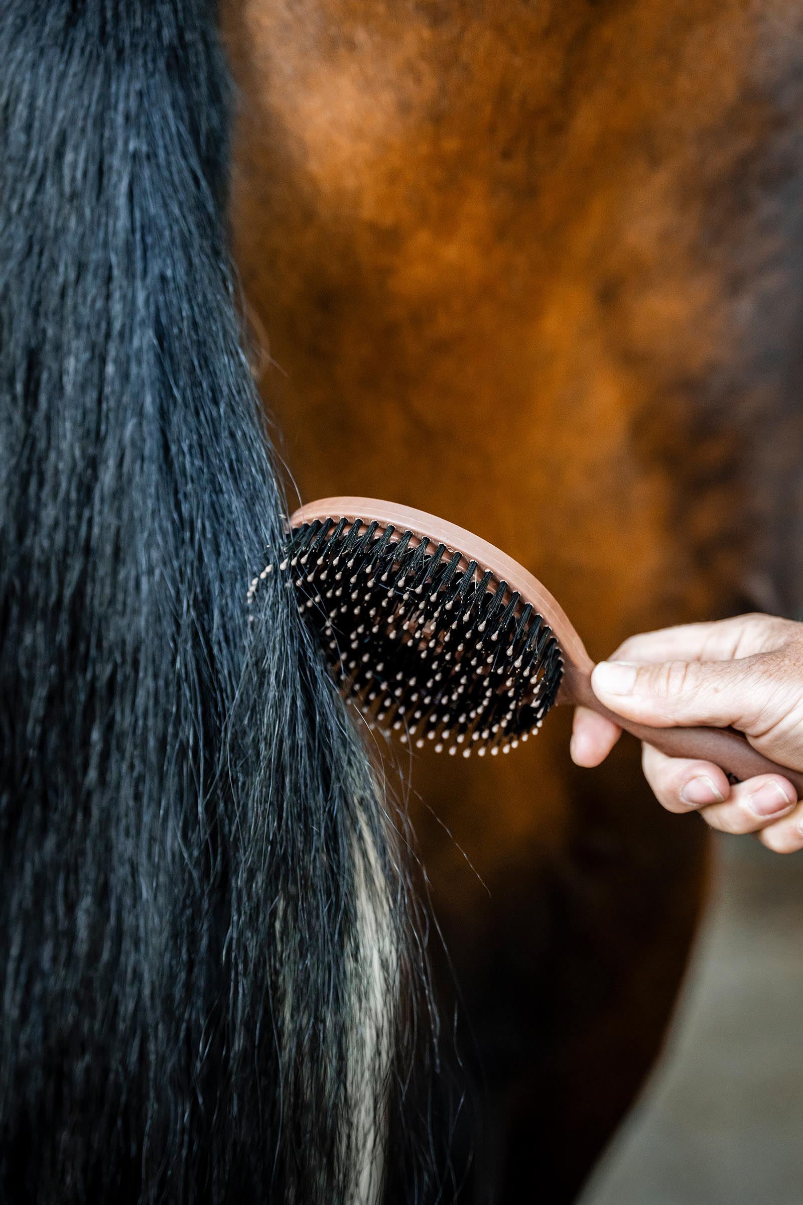 Horseware Mane & Tail Brush