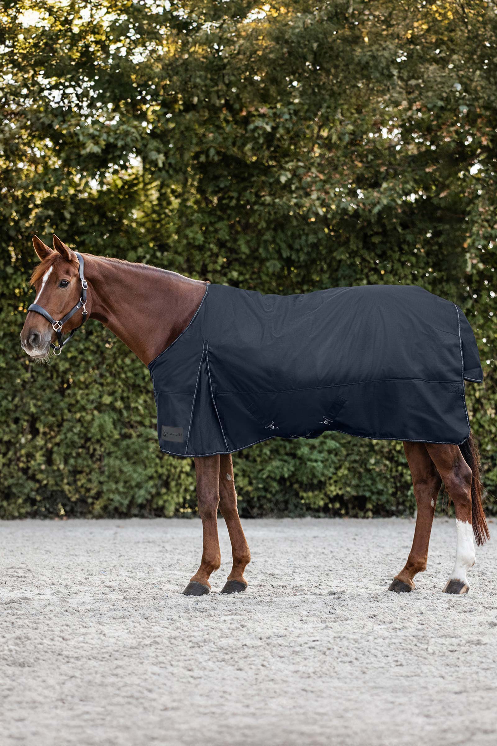 Waldhausen Nordic Turnout Rug, 200 g