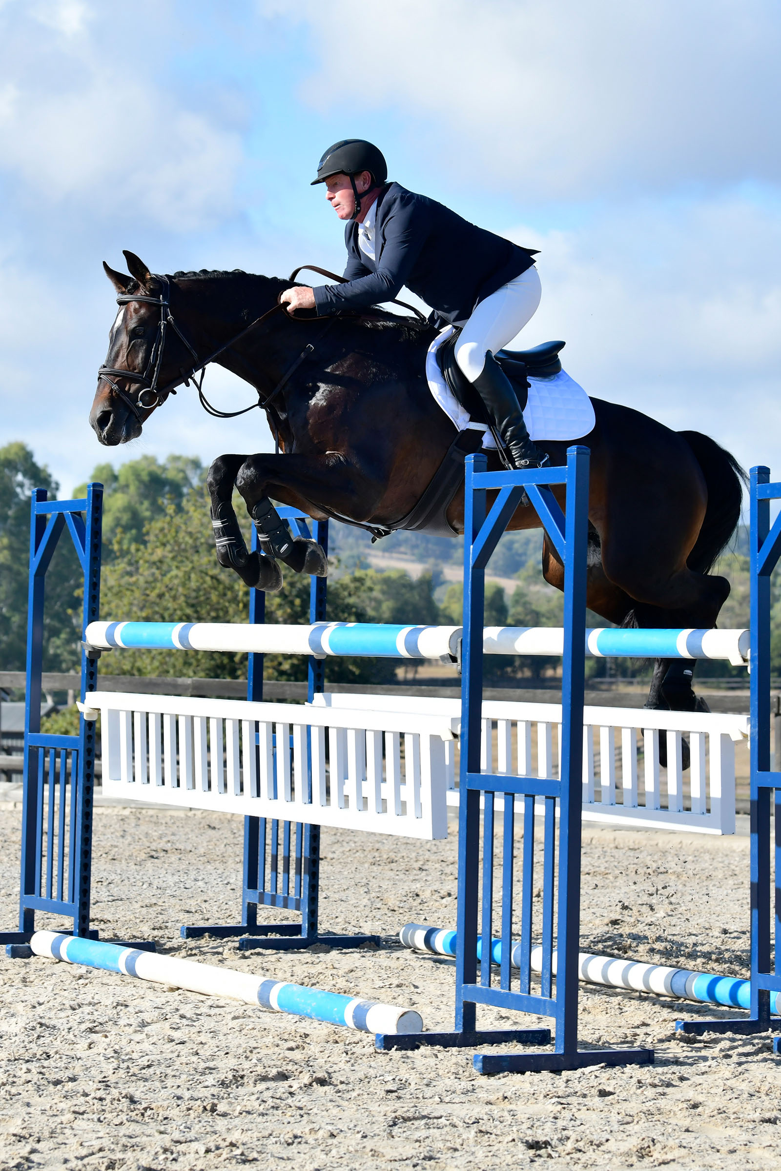 Collegiate Comfitec Opulux Fancy Stitch Padded Hanoverian Bridle