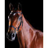 Collegiate ComFiTec Training Bridle