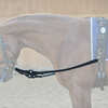 Kavalkade Side reins
