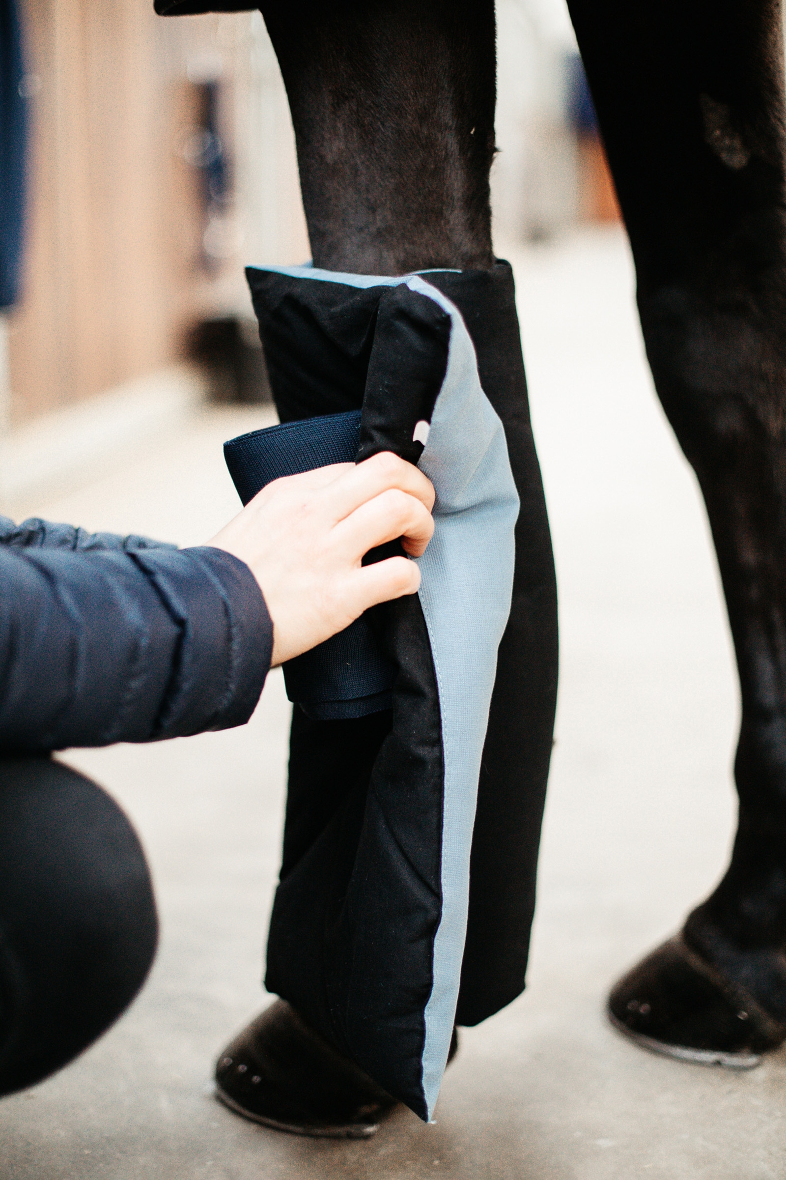 Kentucky Horsewear magnetic bandage pad Recuptex