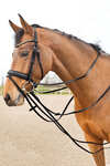Horze Sparta Leather Draw Reins