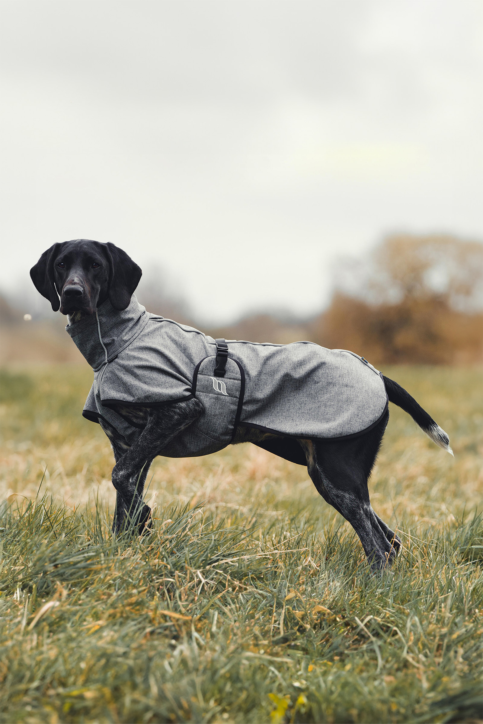Back on Track Bark All-Round Dog Coat, 70-80cm