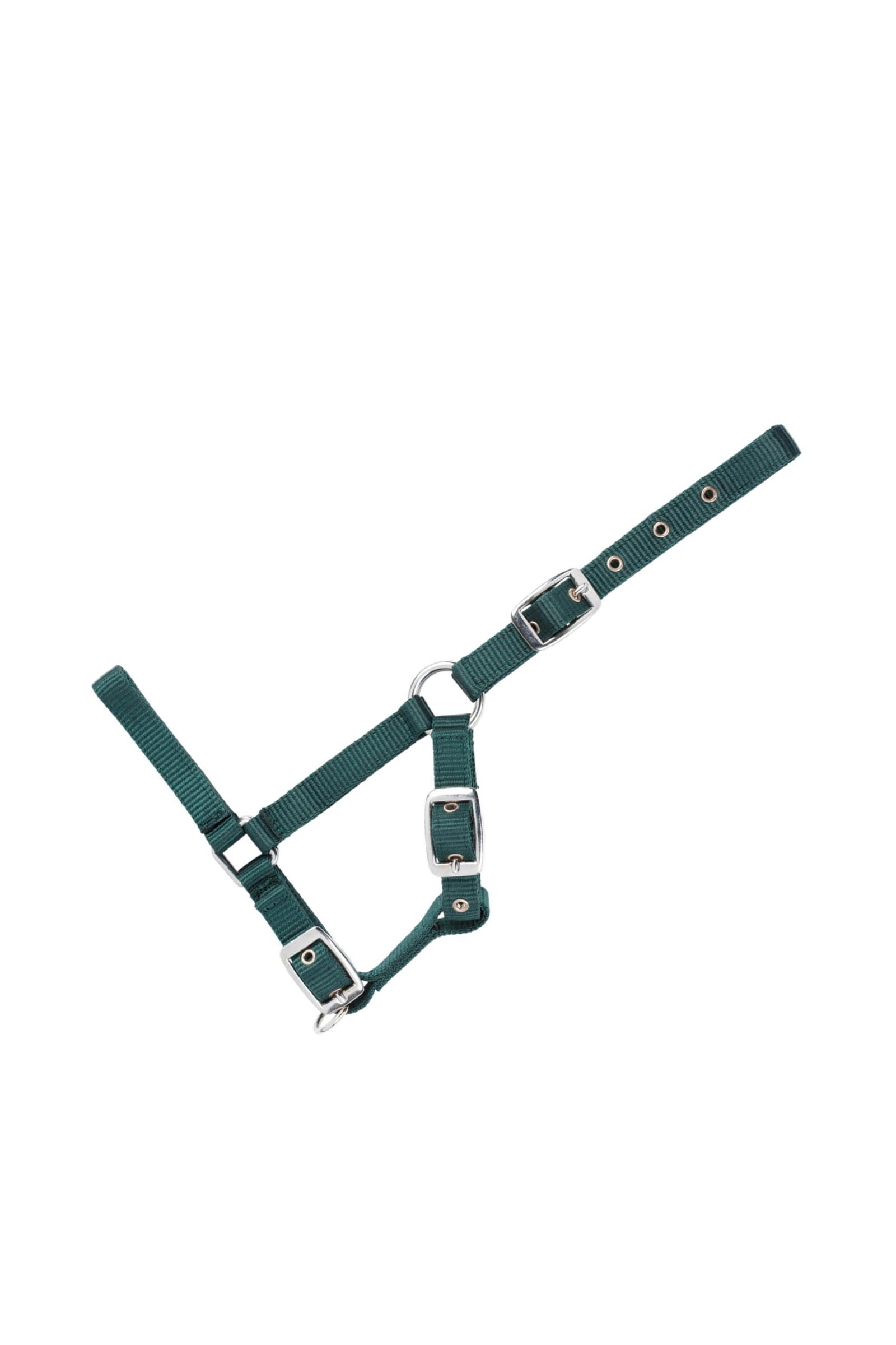 USG Adjustable Foal Halter