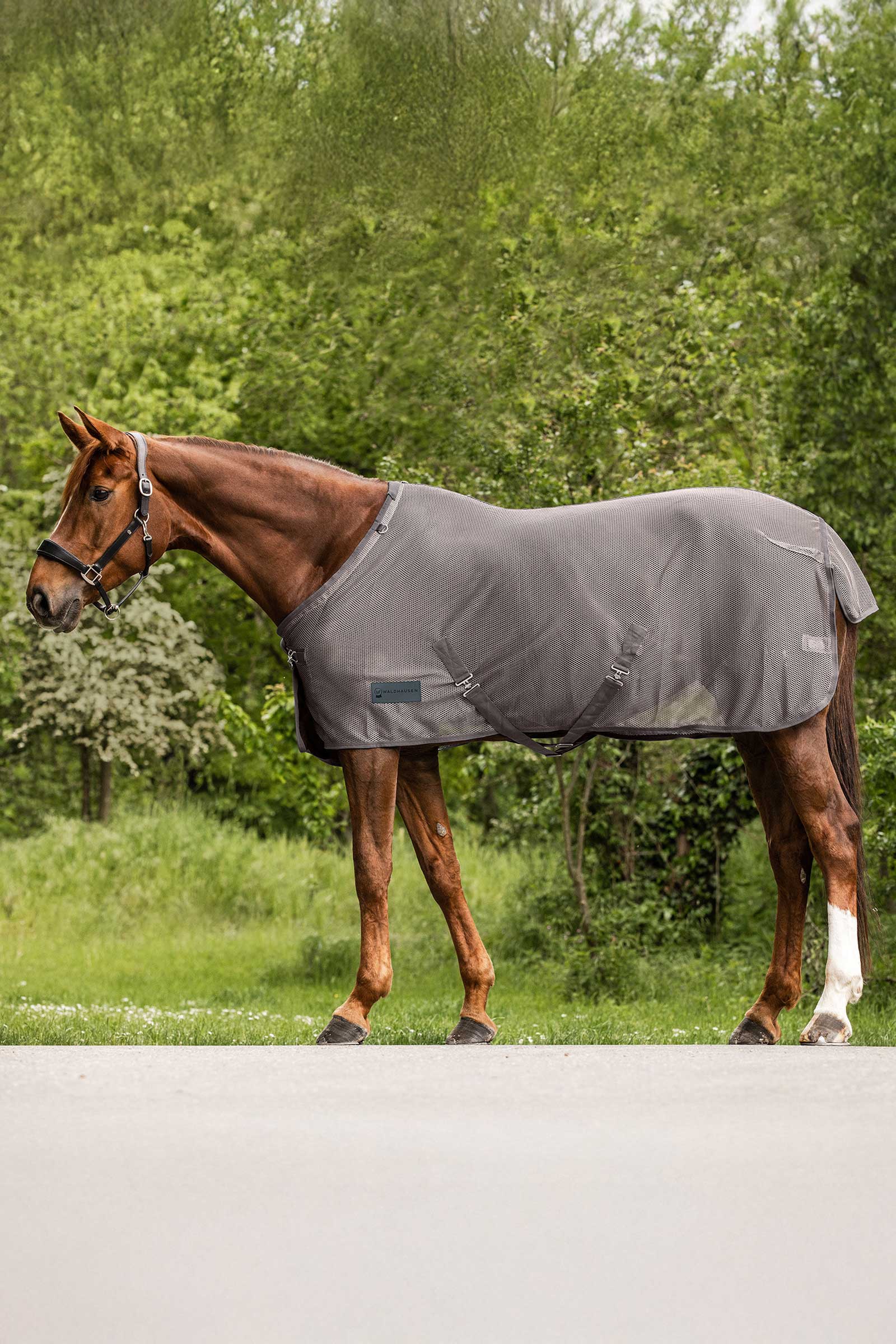 Grey Waldhausen Comfort Fly Rug