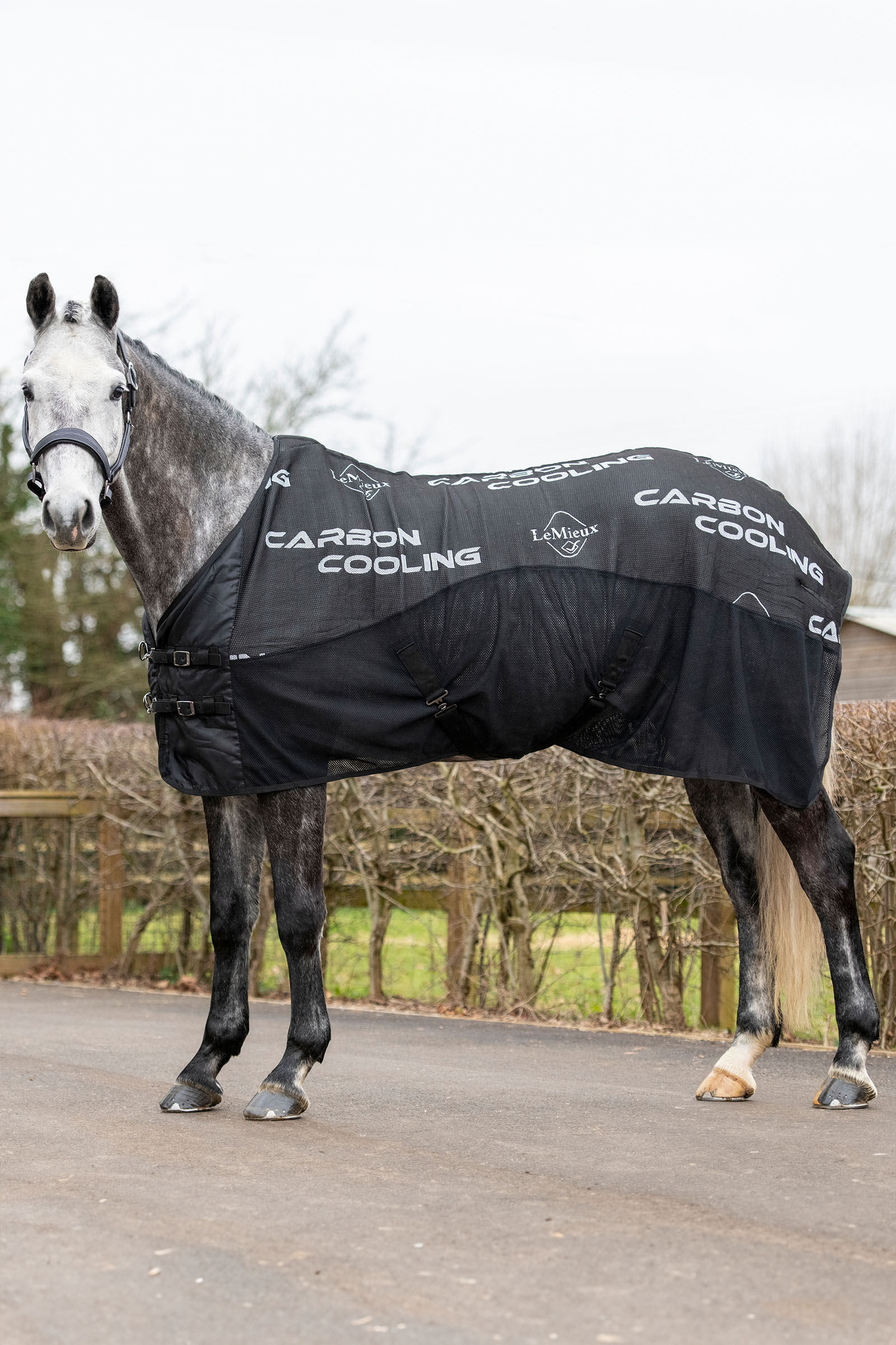LeMieux Carbon Cooler Rug