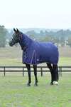 Weatherbeeta Comfitec Essential Turnout Rug With Fixed Neck, 220g