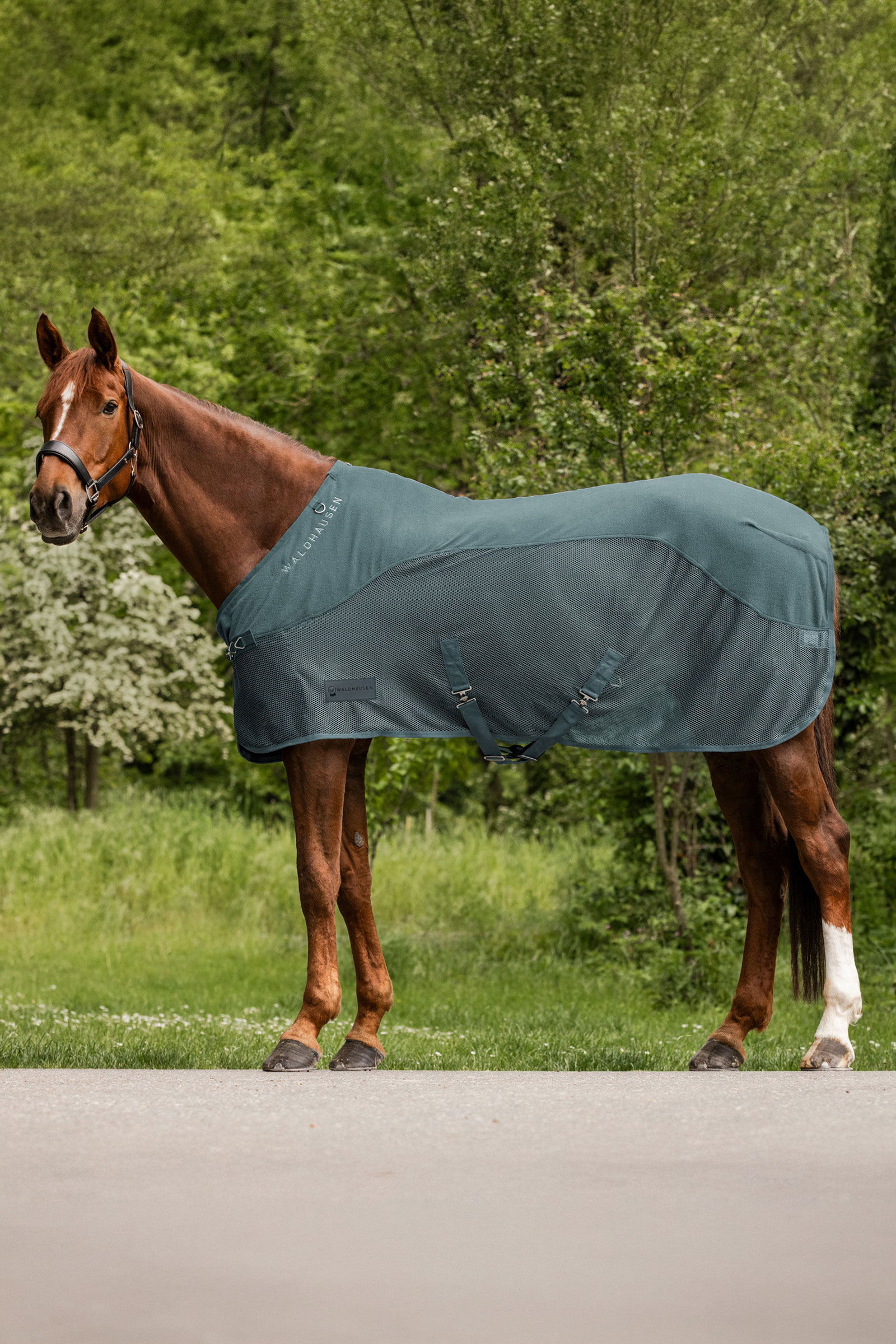 Pine Green Waldhausen Comfort Fleece Fly Rug