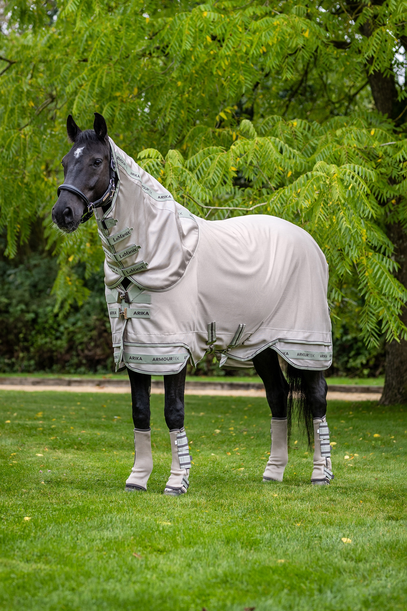 LeMieux Arika Armour-Tek Fly Rug With Detachable Neck
