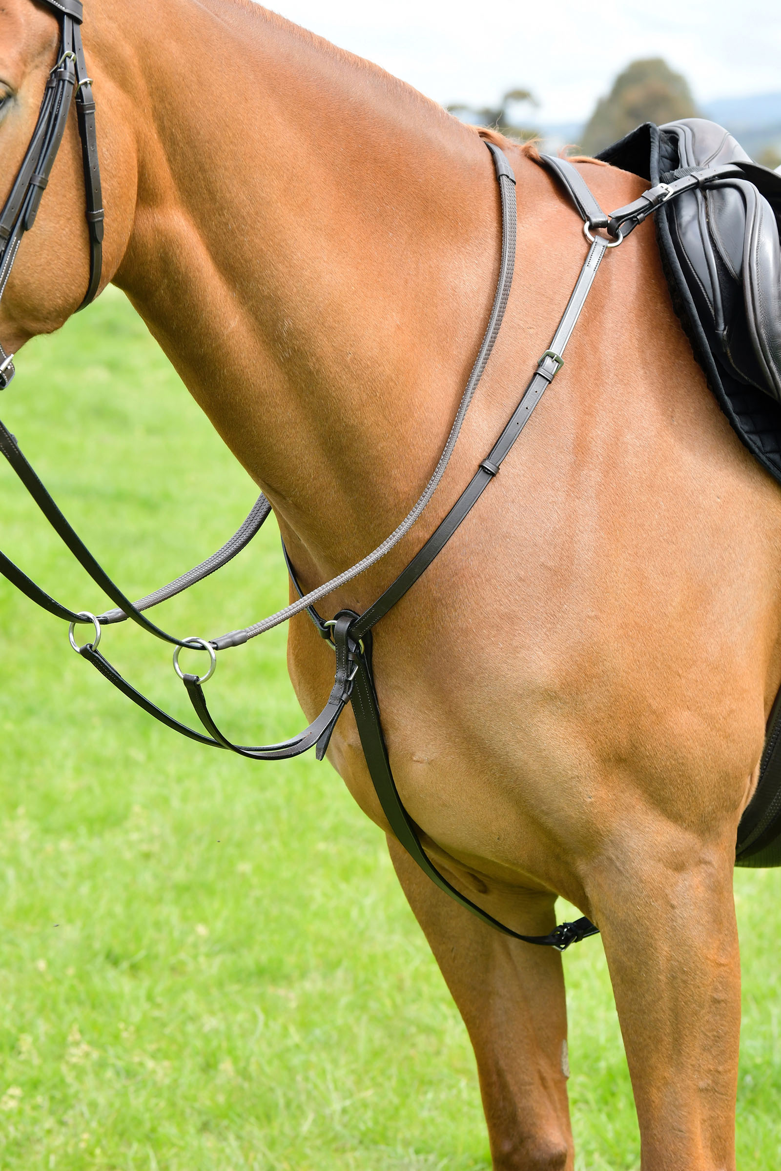 Brown Kincade Classic 3 Point Breastplate With Running Martingale