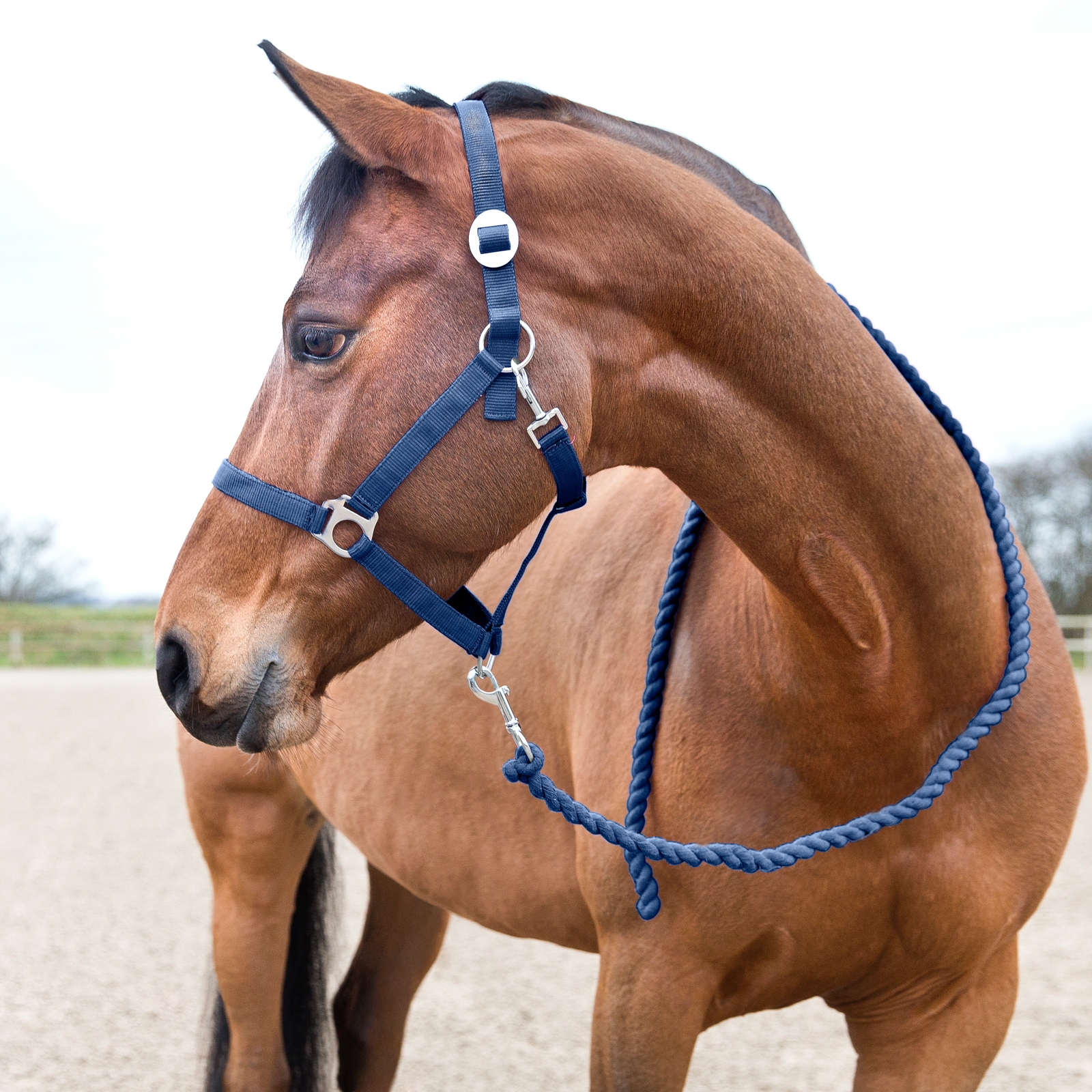 Peacoat Dark Blue Horze Basic Lead