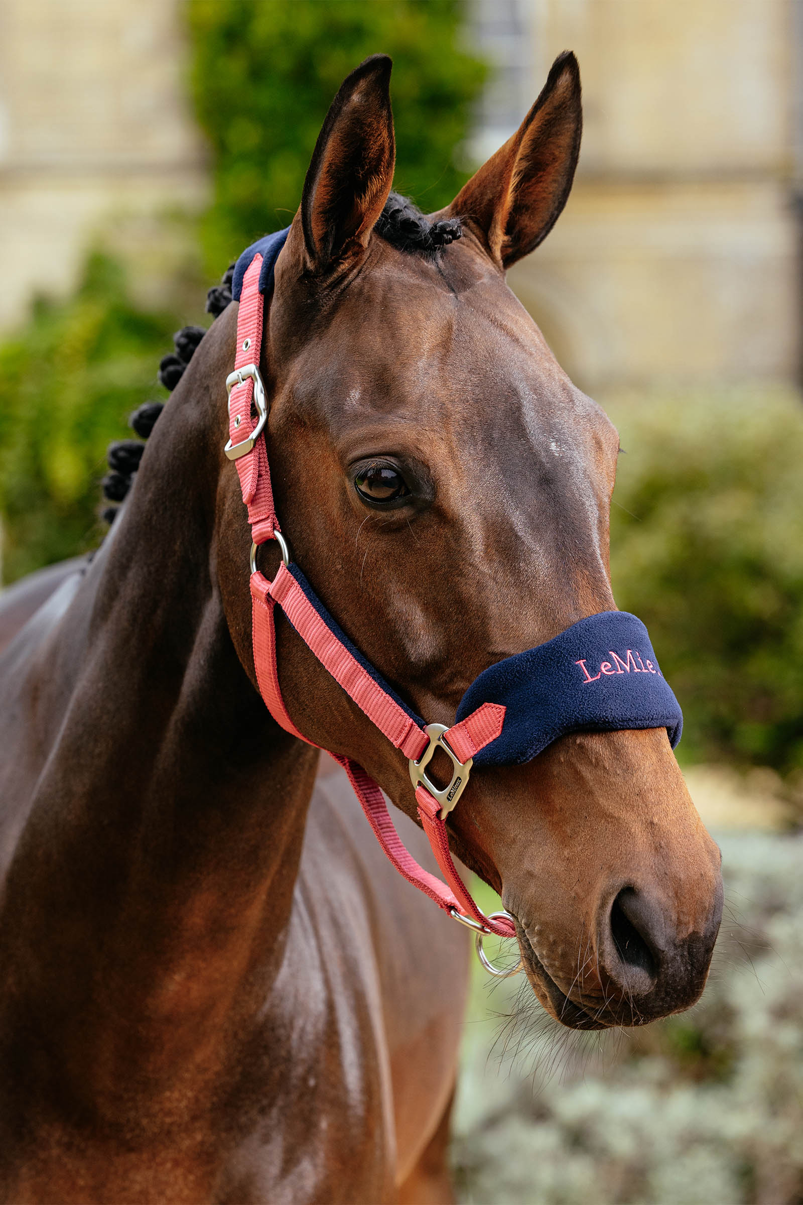 LeMieux Vogue Headcollar & Lead Rope Set