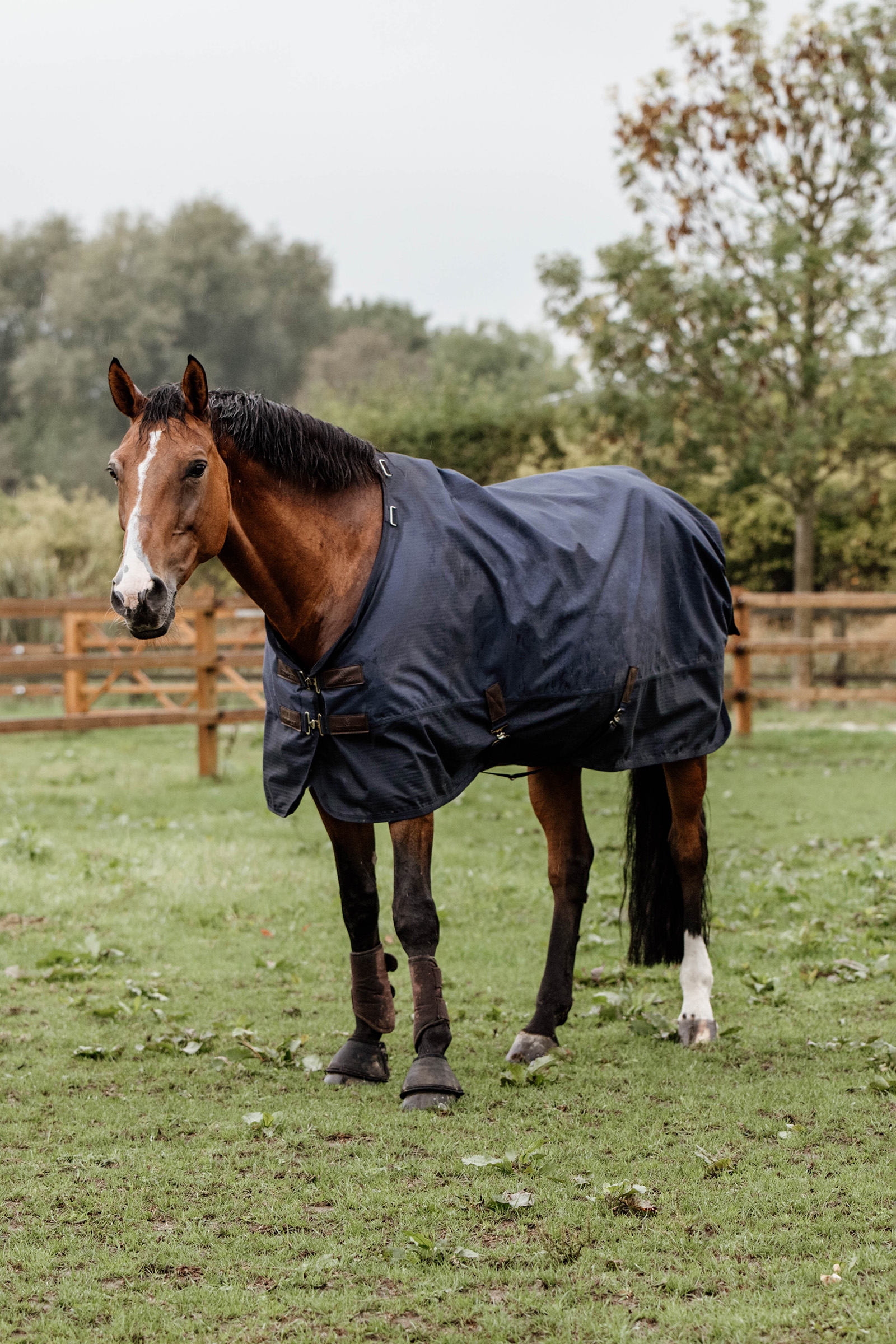 Kentucky Horsewear Turnout Rug All Weather, 300g