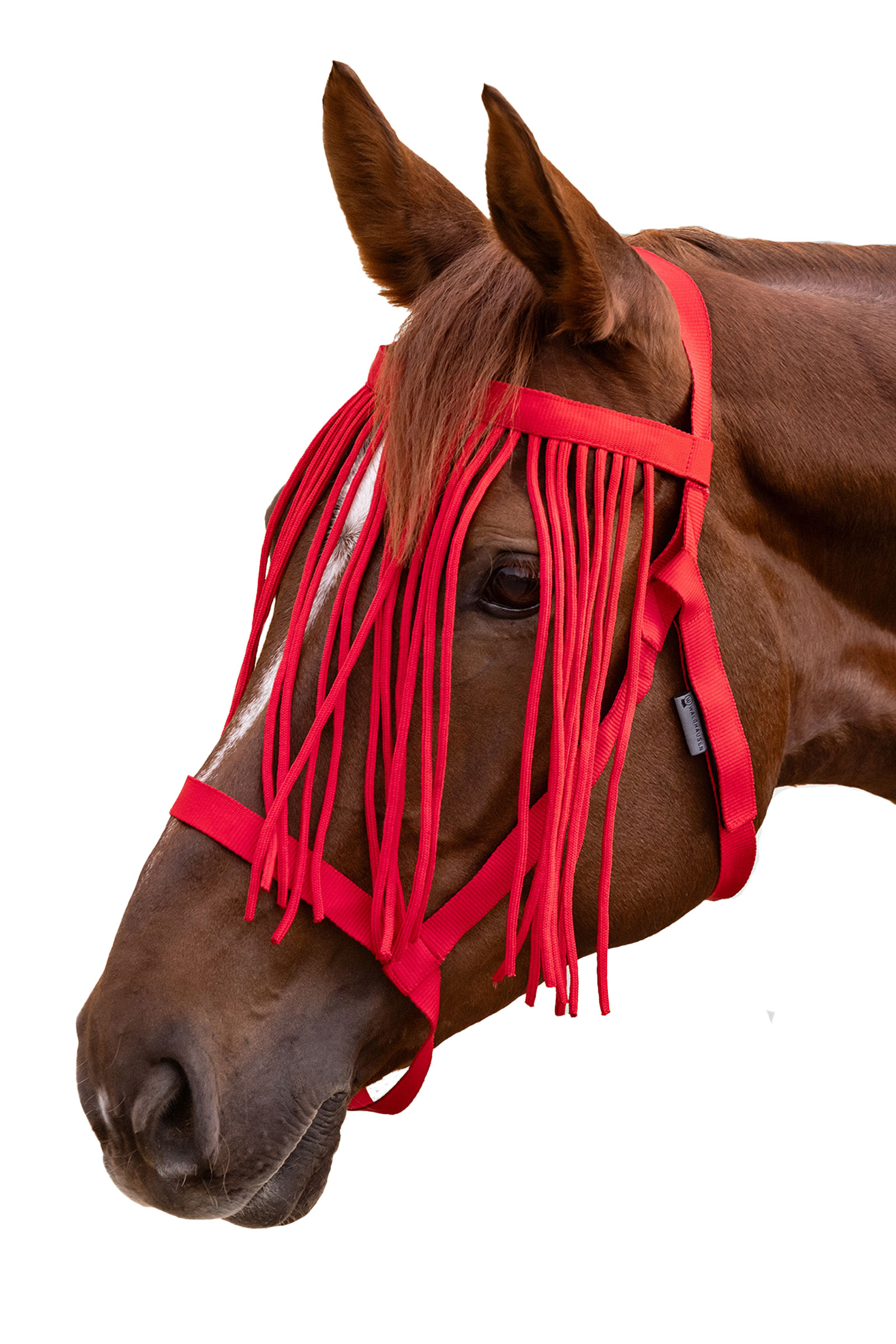 Waldhausen Grazing Halter With Fly Fringe