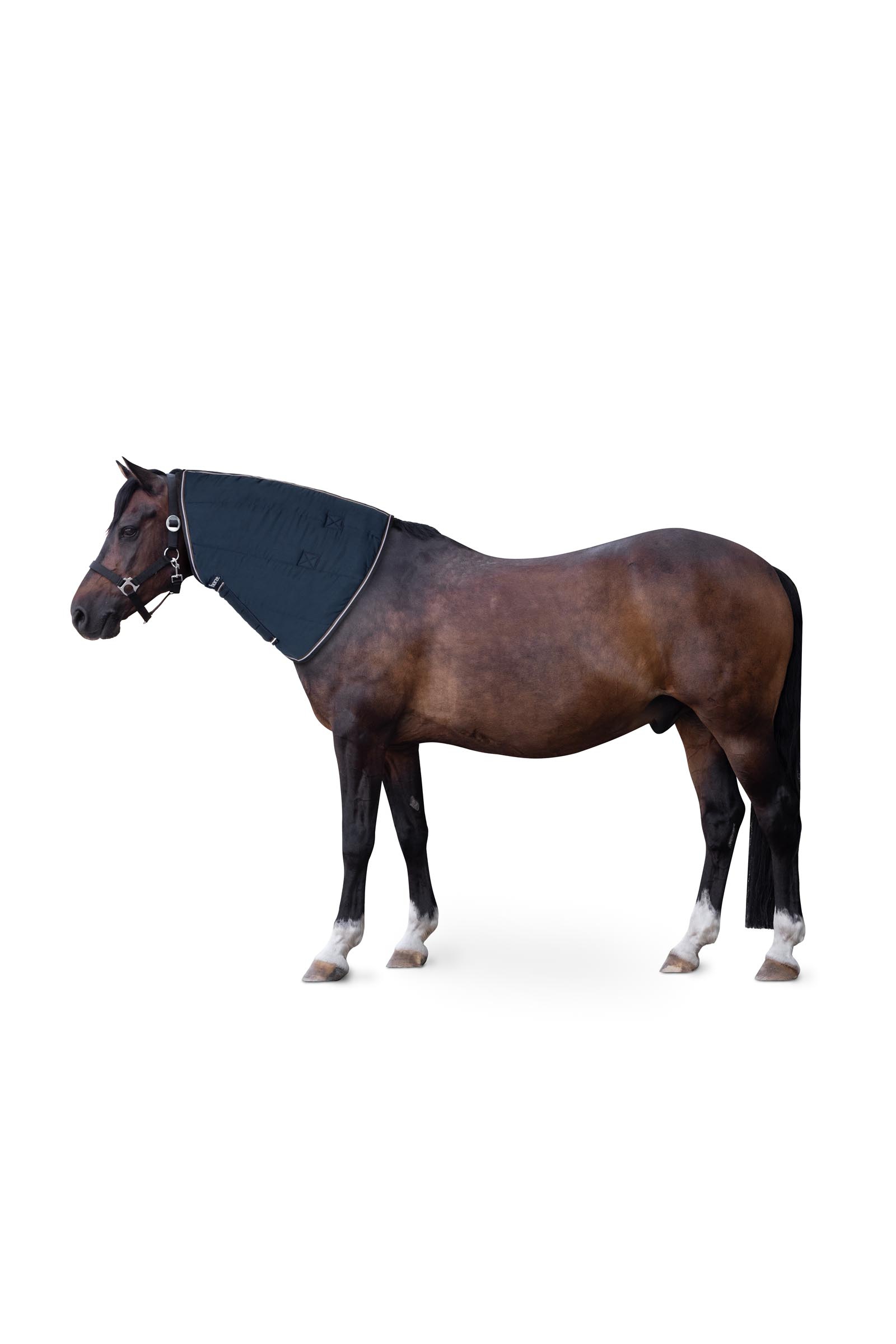 Blueberry Horze Glasgow Pony Stable Rug Hood