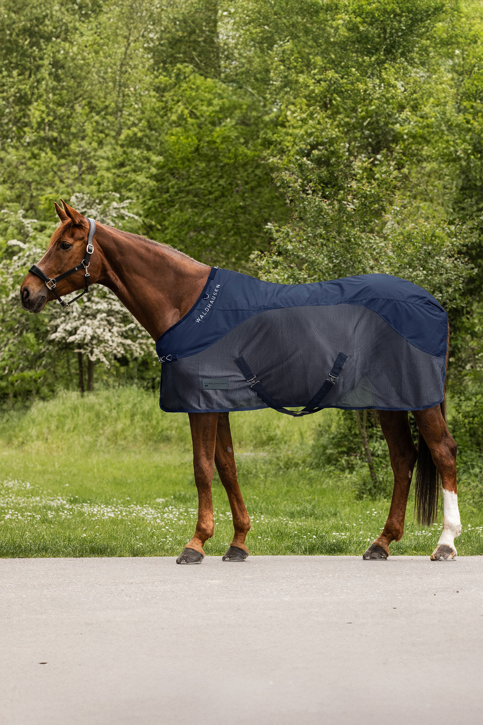 Night Blue Waldhausen Comfort Rain Fly Rug