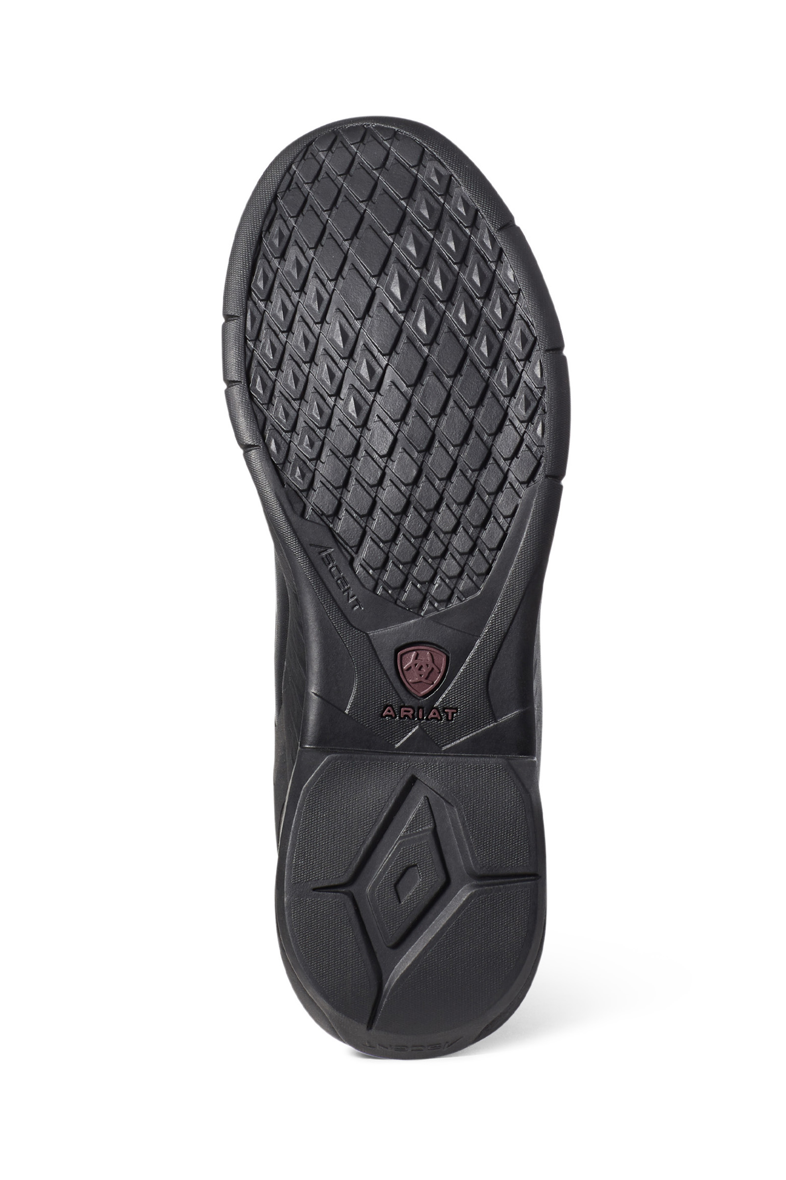 Ariat Ascent Women's Tall Riding Boots