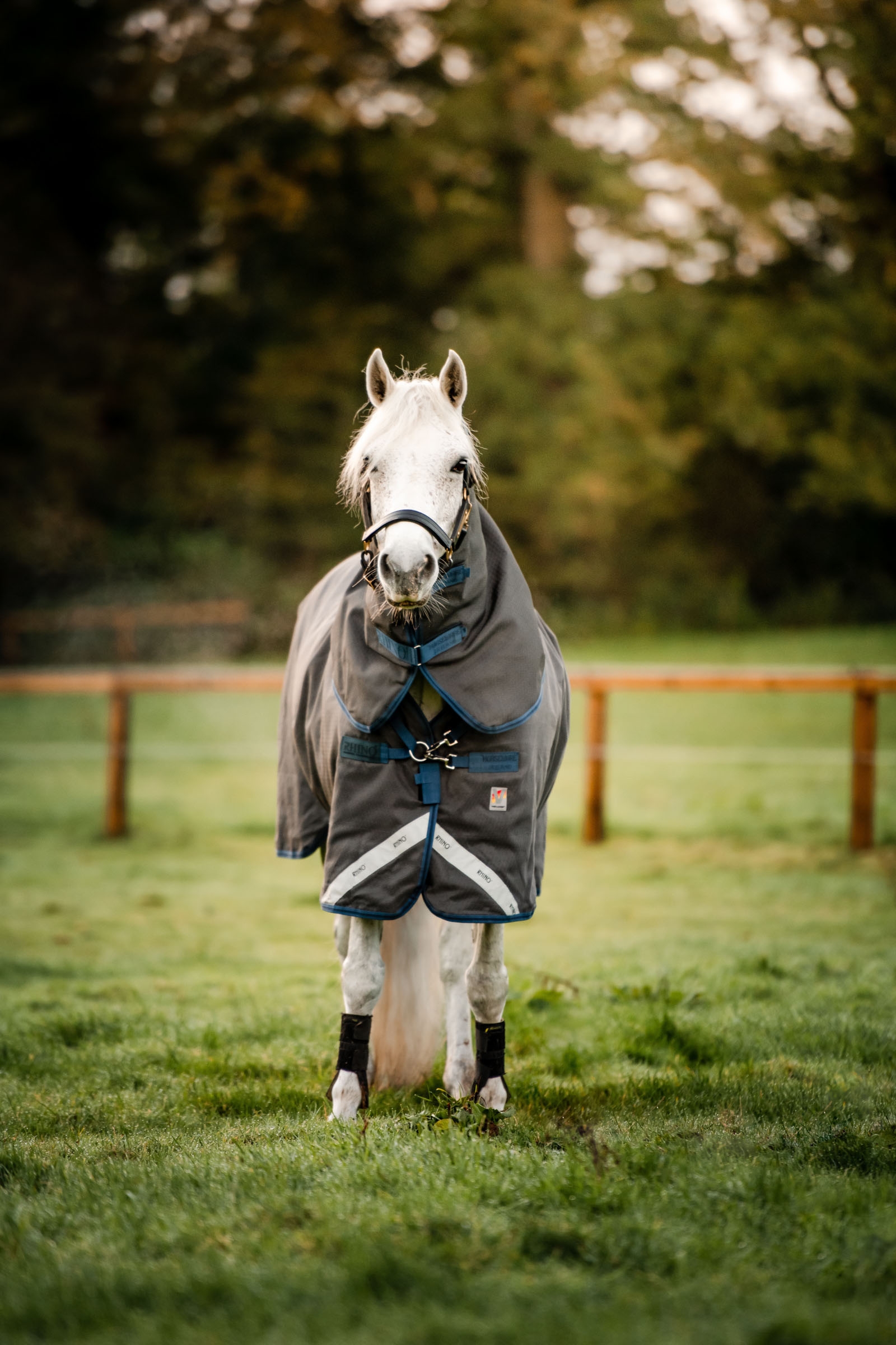 Horseware Rhino Hexstop Plus Vari-Layer Turnout Rug, 250g