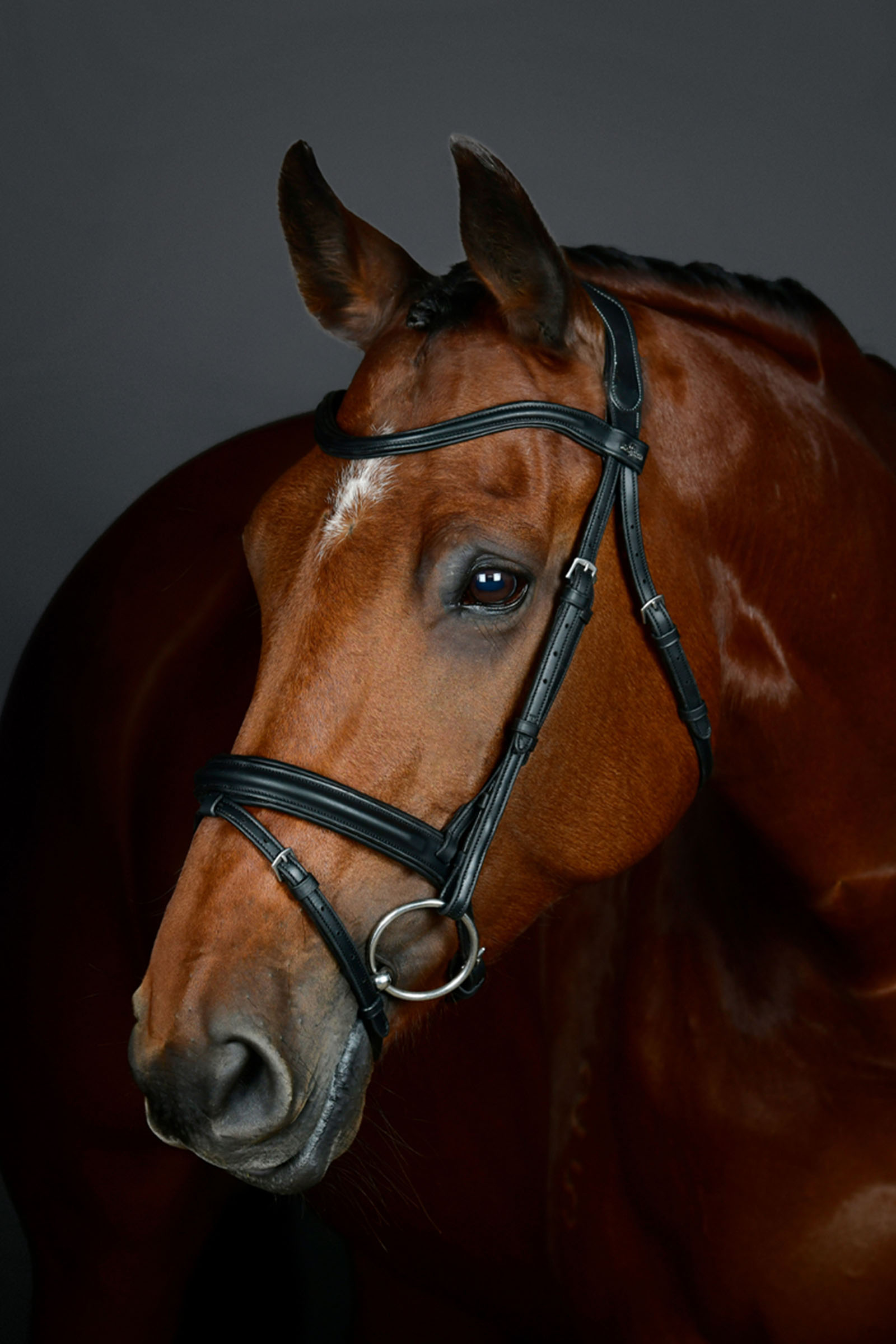 Black Collegiate Comfitec Opulux Plain Padded Hanoverian Flash Bridle