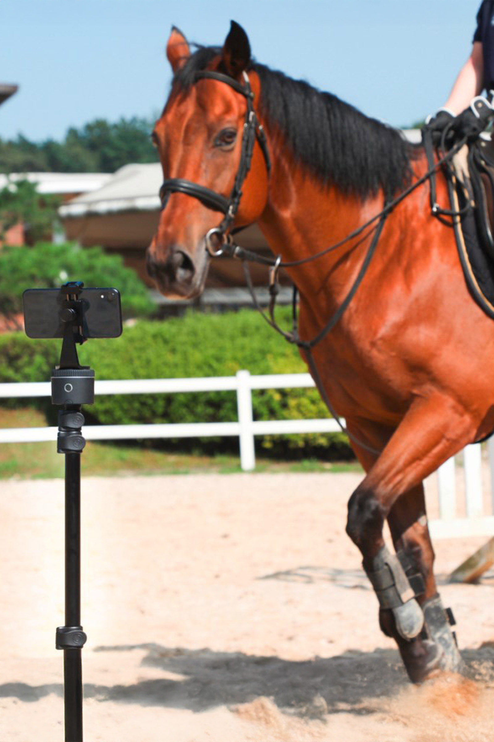 Pivo Pod Silver Essential Set