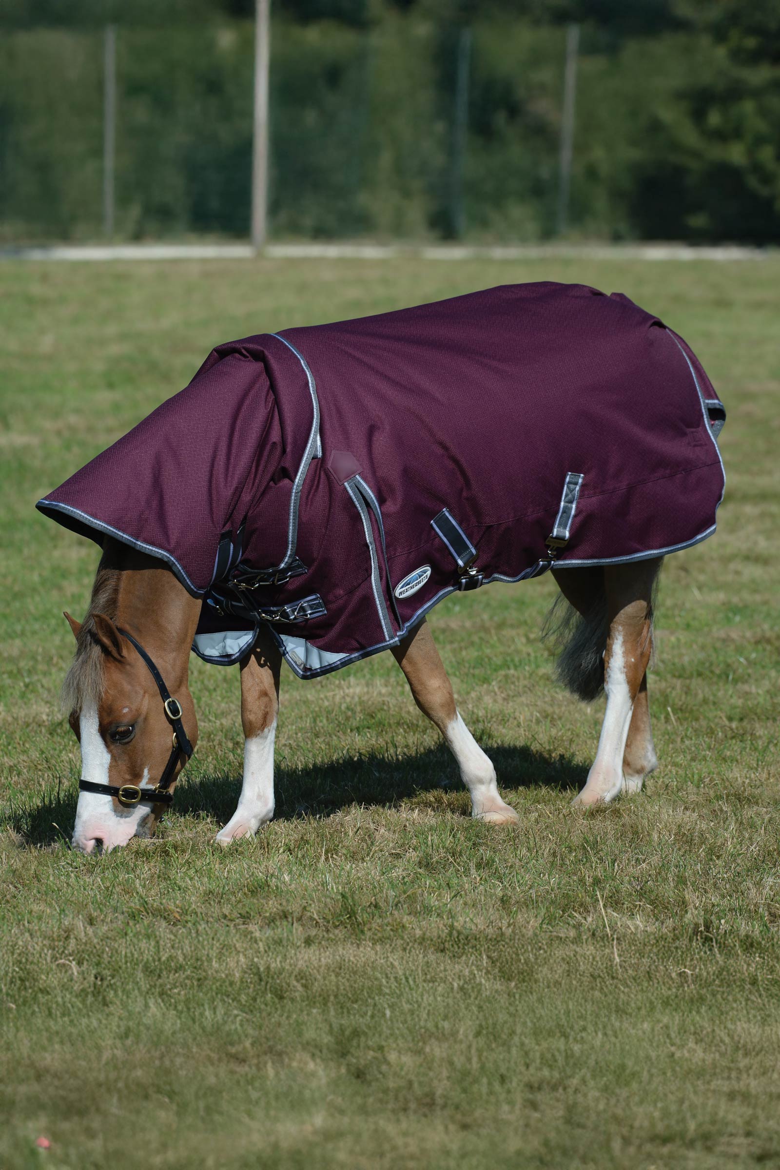 Weatherbeeta Comfitec Plus Dynamic II Turnout Rug With Detachable Neck, 100g