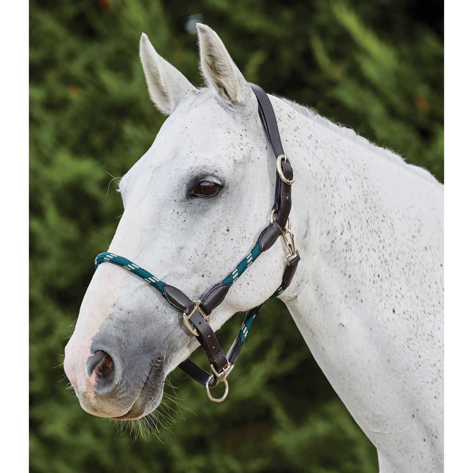 Hunter Green/Brown Kincade Leather Rope Headcollar