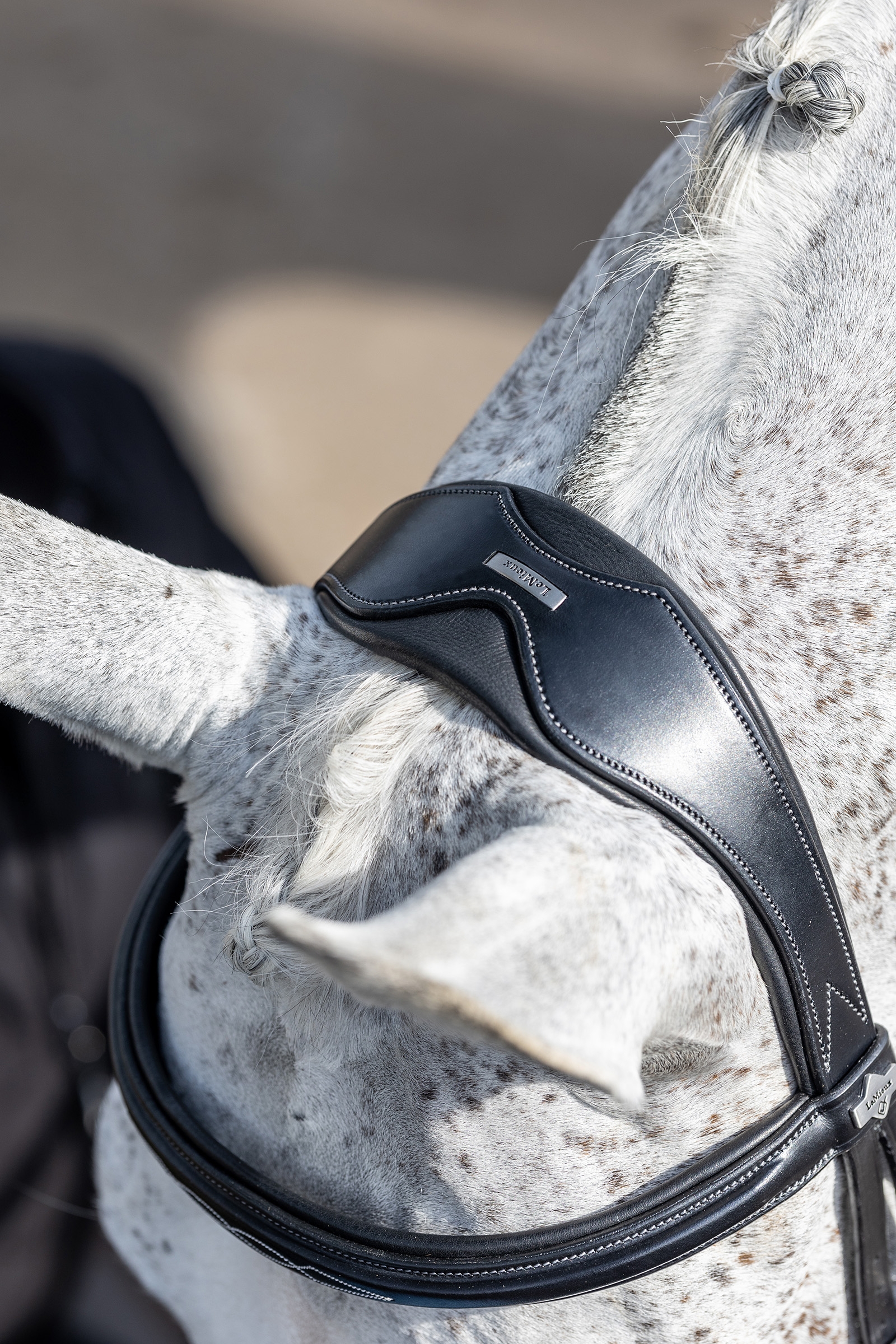 LeMieux Competiton Flash Bridle