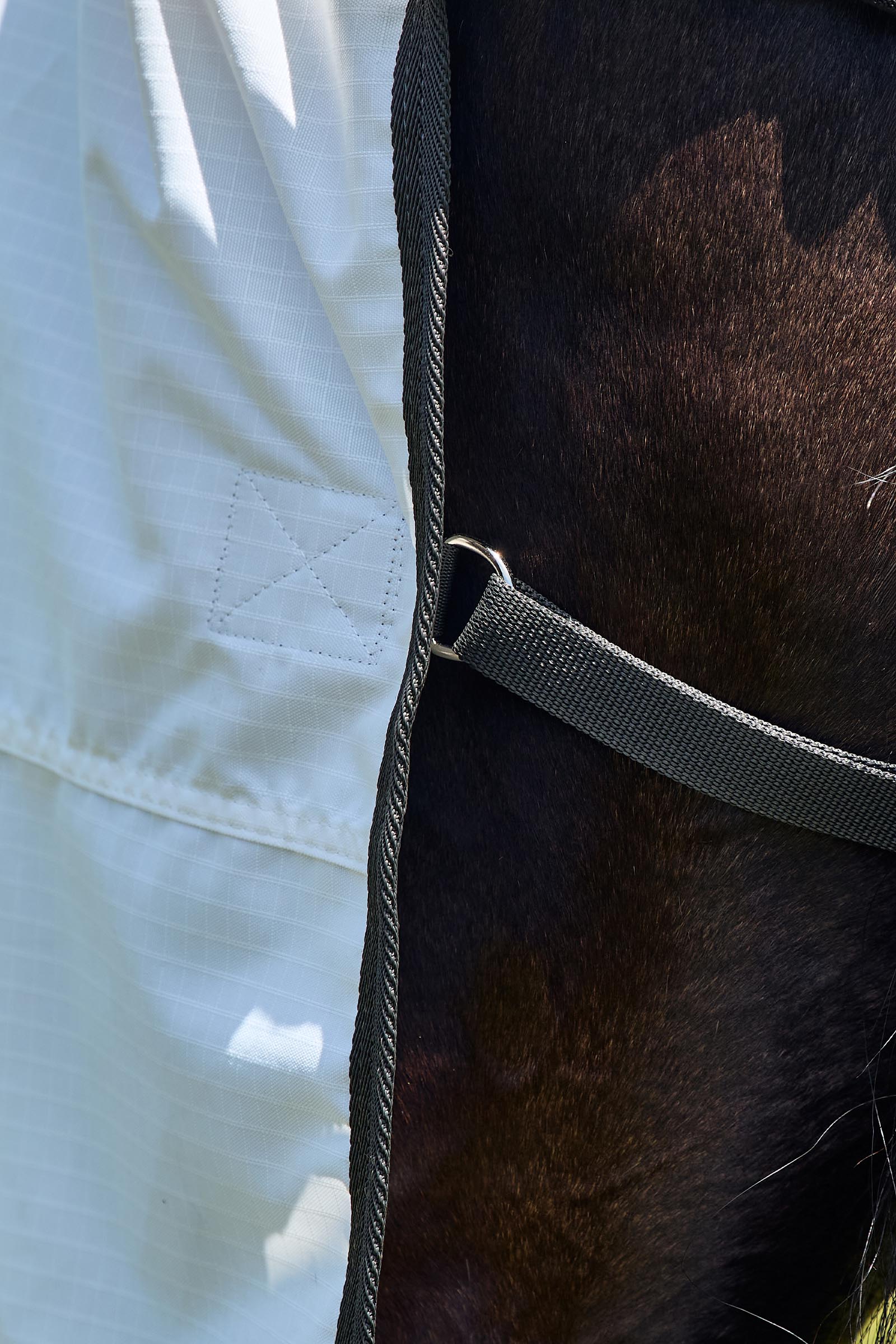 Weatherbeeta Comfitec Sweet Itch Shield Fly Sheet Combo W. Fixed Neck, 0g