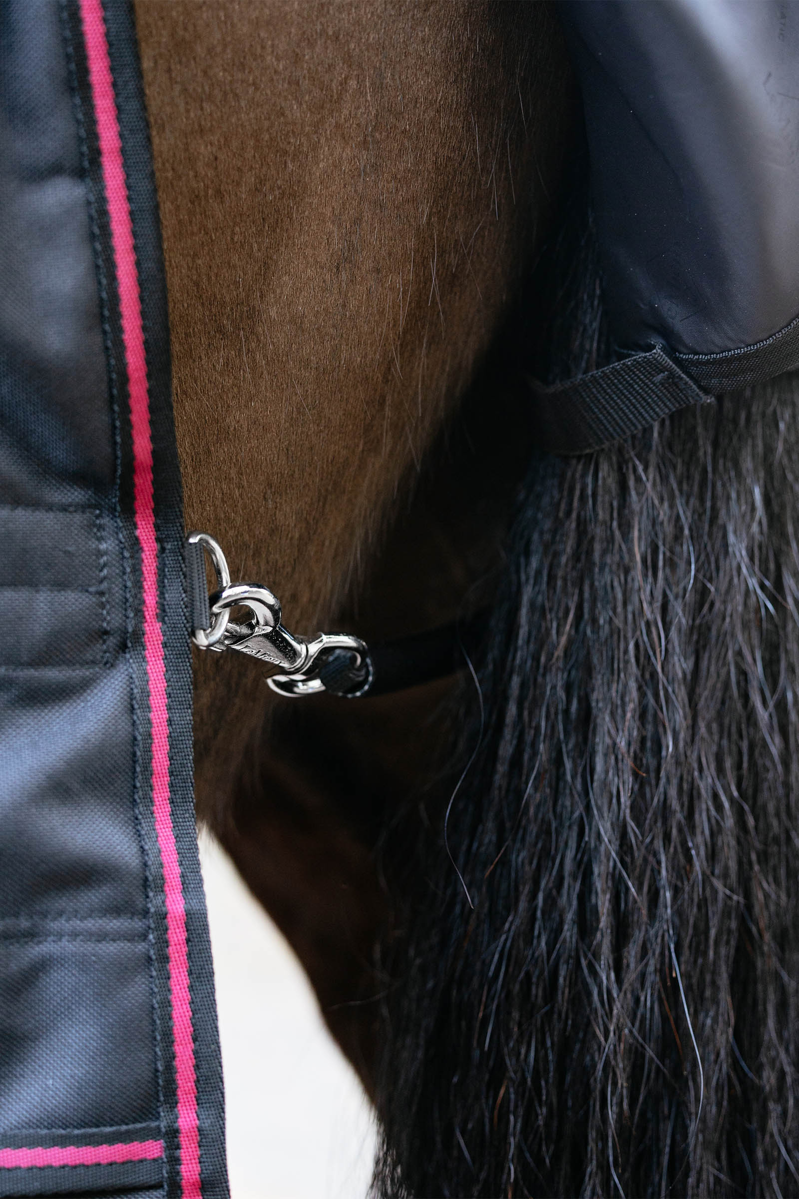 LeMieux Arika Storm-Tek Turnout Rug With Detachable Neck, 50 g