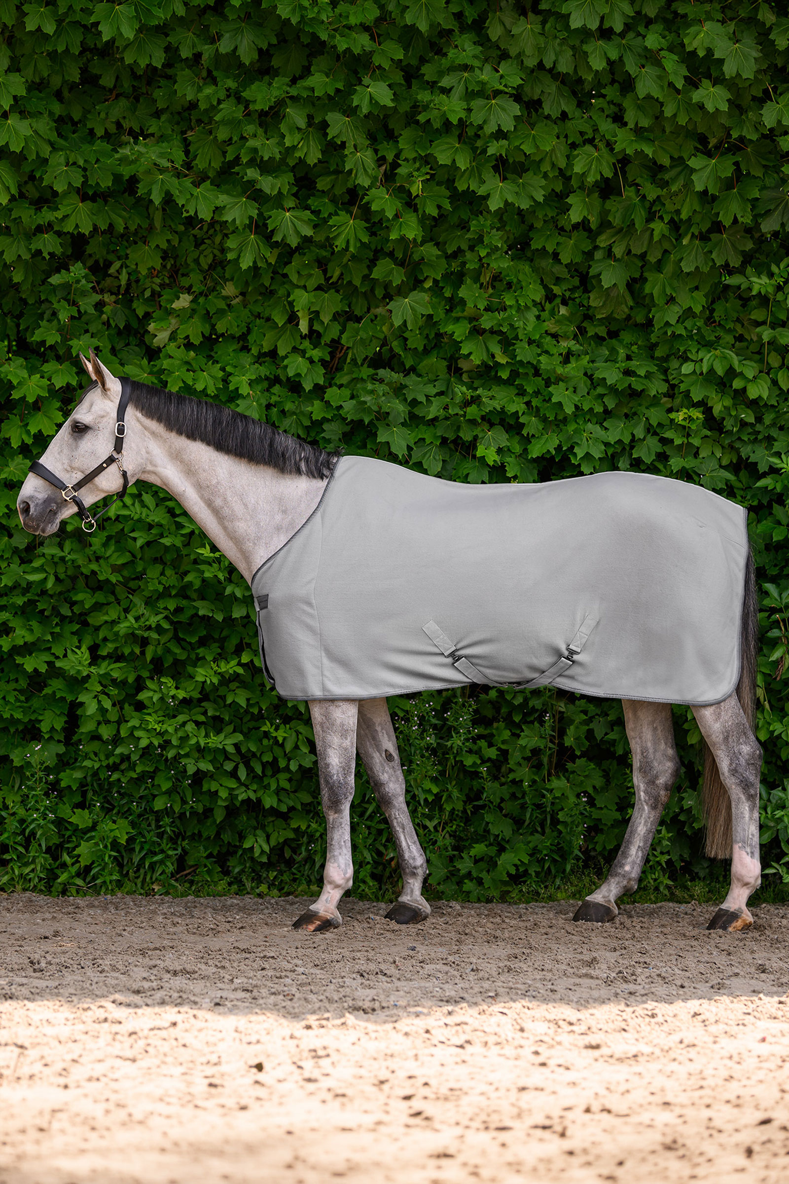 Silver Grey Waldhausen ECONOMIC Fleece Rug with Cross Surcingles
