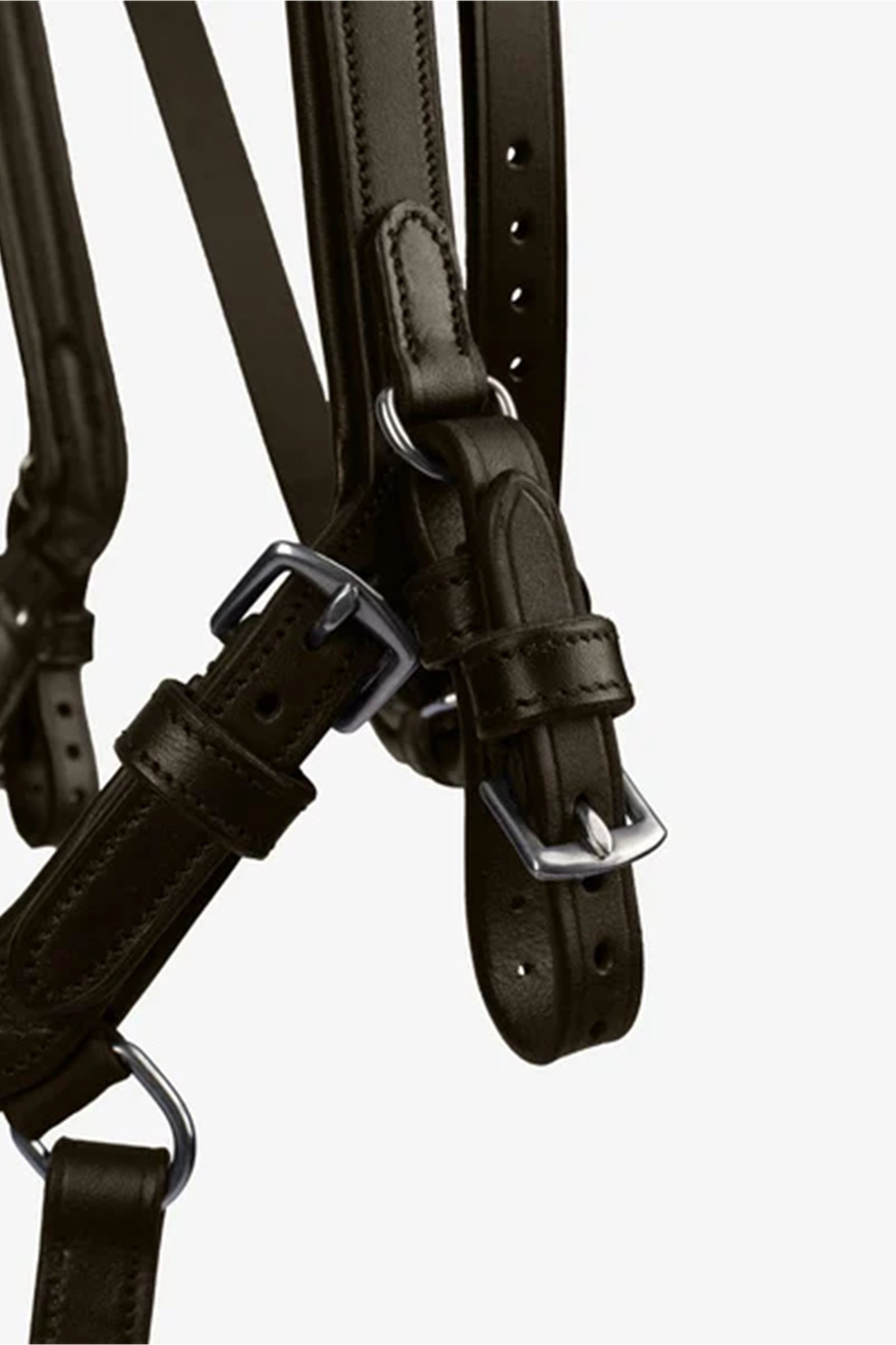 PS of Sweden Bridle King Edward