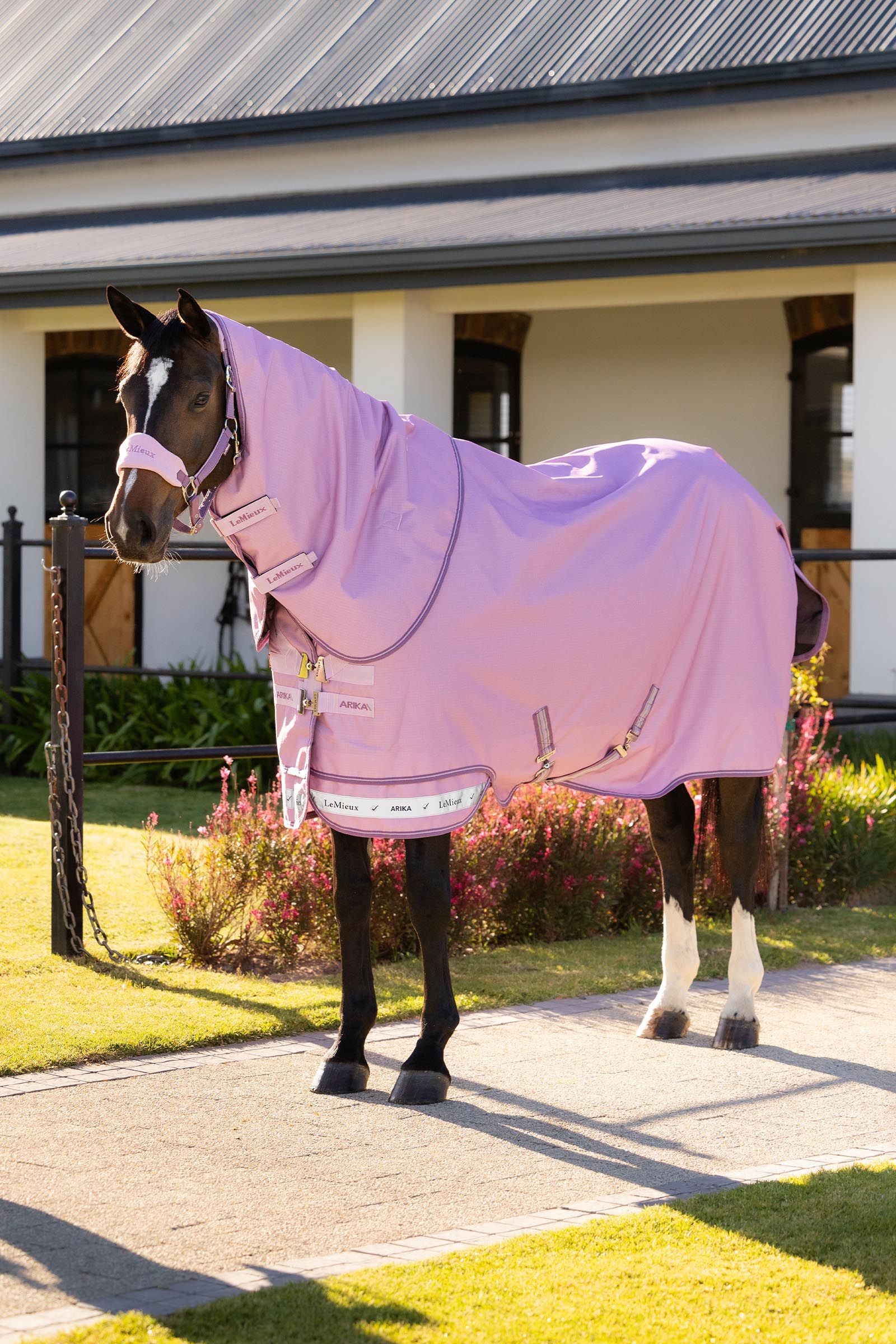 Fondant LeMieux Arika Ripstop Turnout Rug With Detachable Neck, 0 g