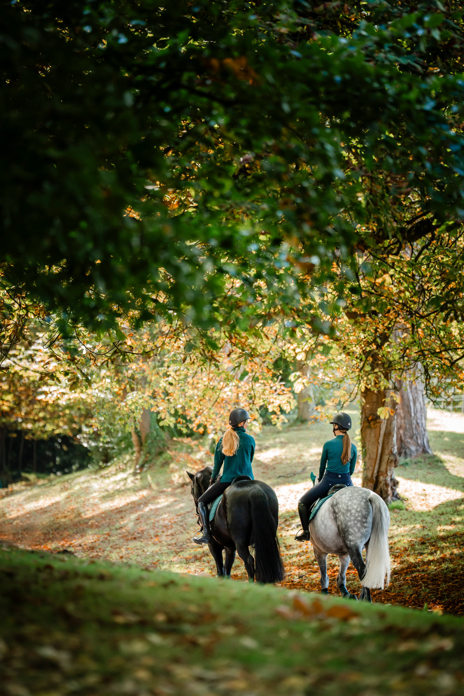 Horseware Strive Winter Women&acute;s 1/4 Zip Top