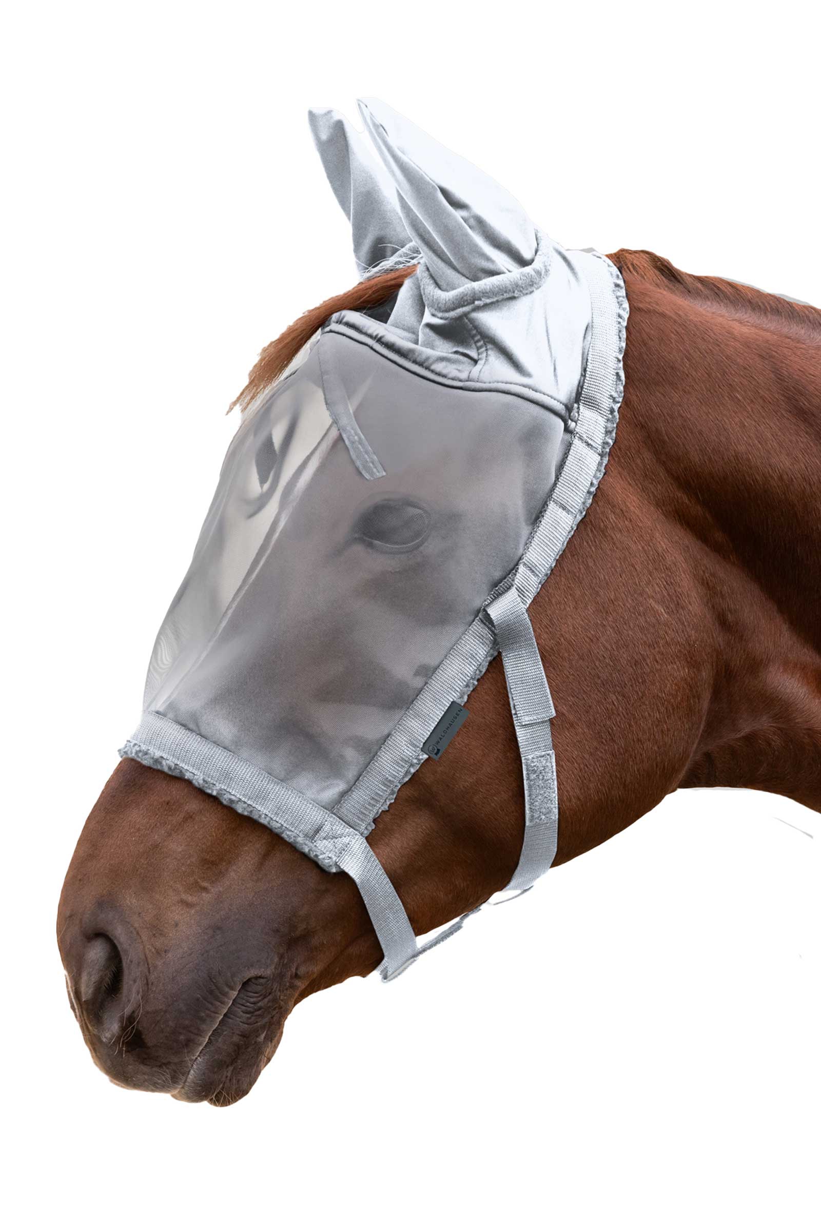 Silver Grey Waldhausen Grazing Halter With Fly Mask