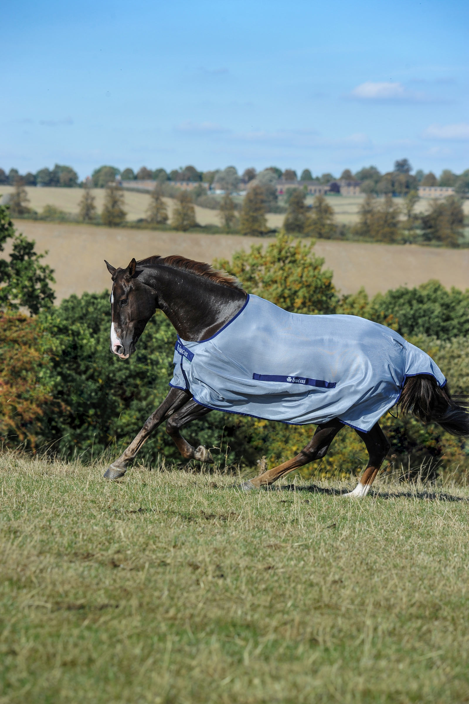 Bucas Buzz-Off Classic Fly Rug